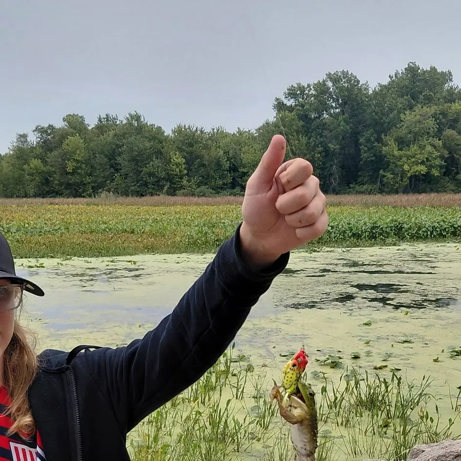Fish caught on Fishbrain