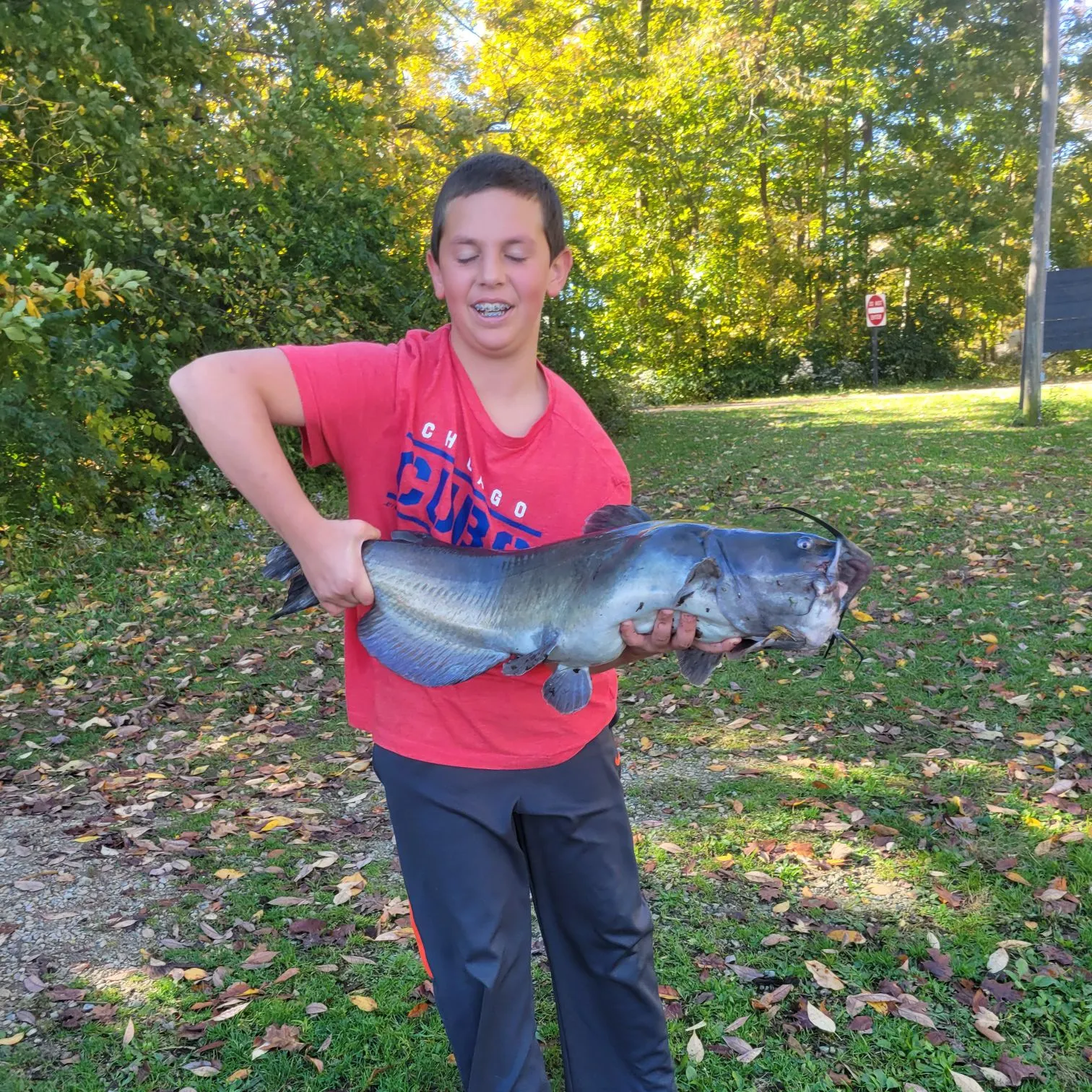 Channel catfish caught on Fishbrain