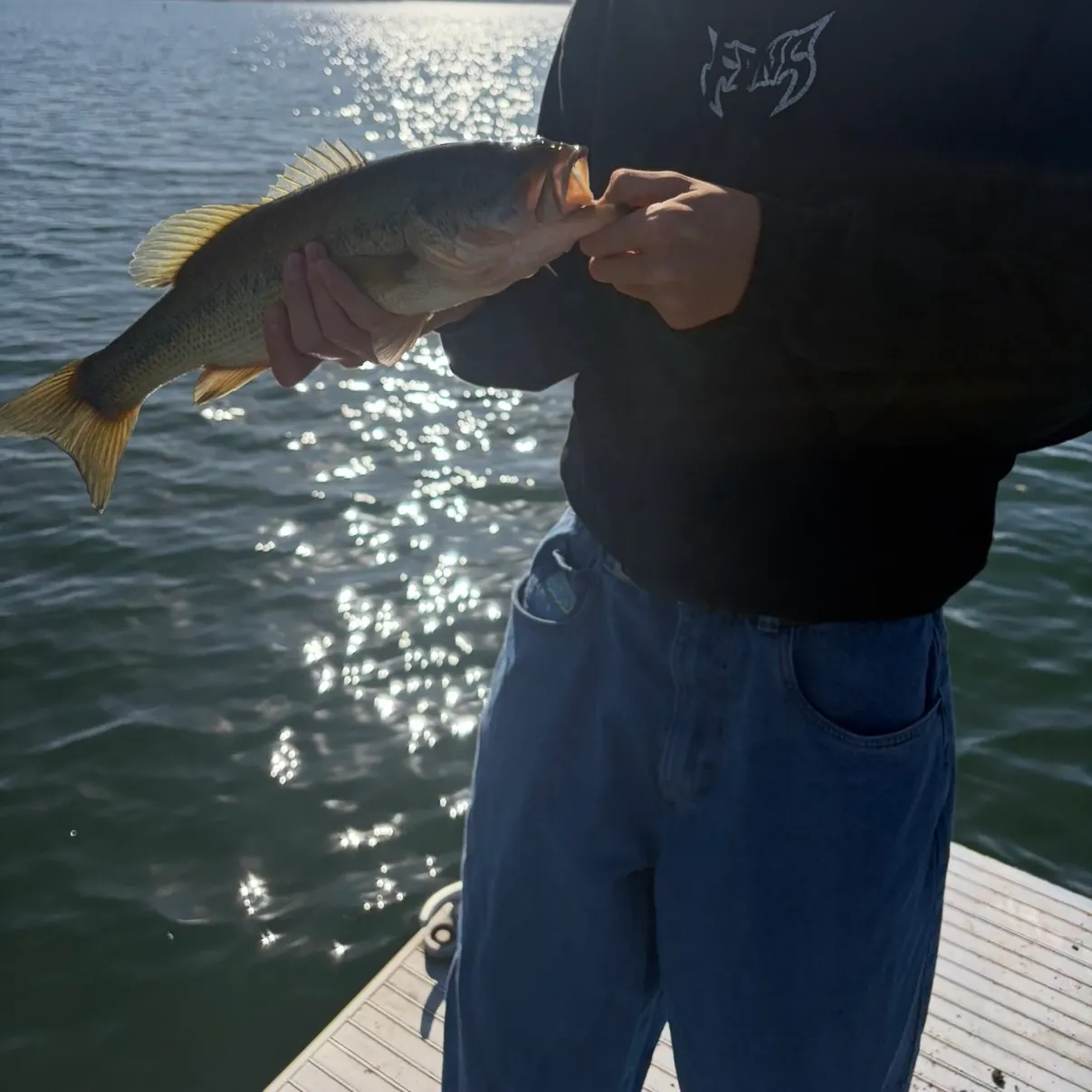 Largemouth bass caught on Fishbrain