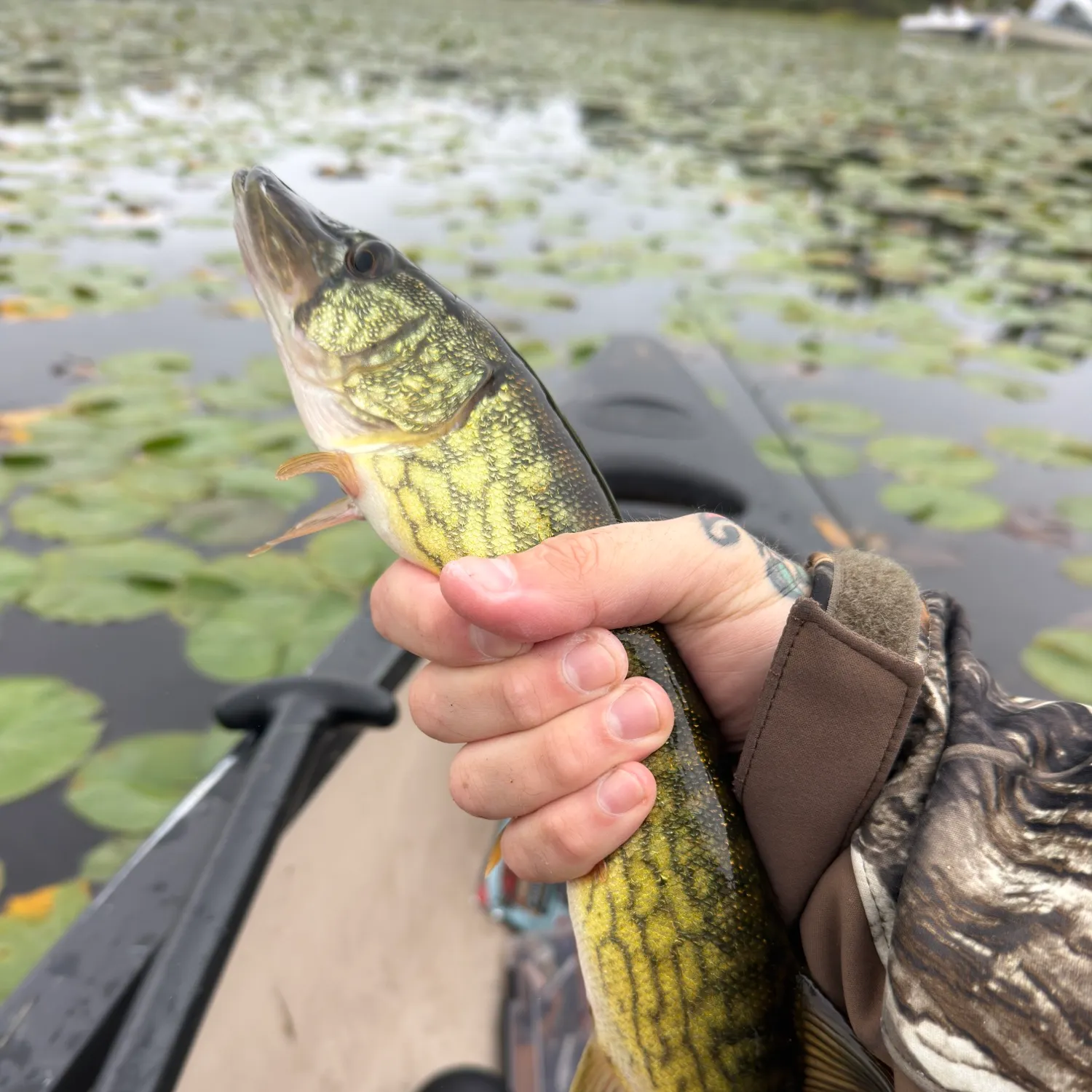 catch