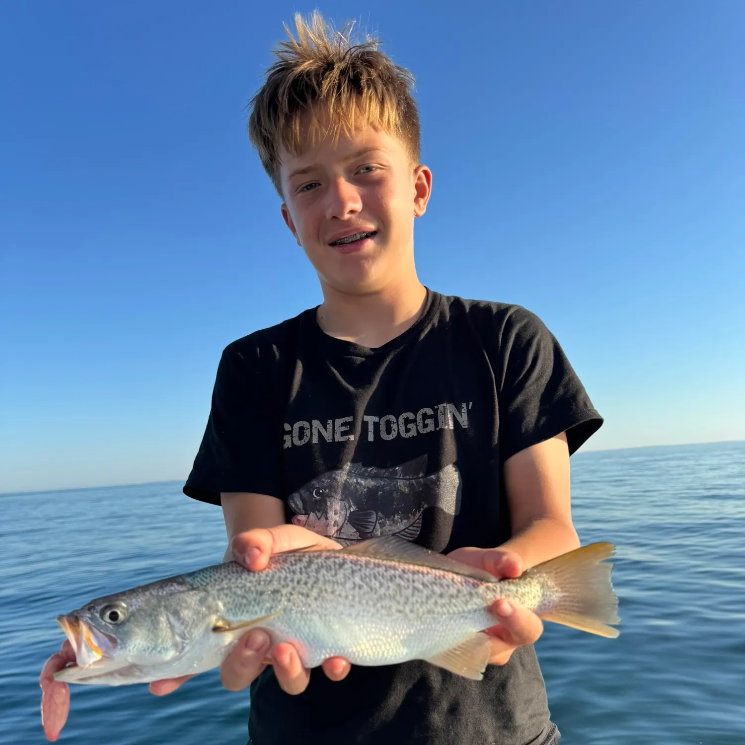 The most recent Red hake catches on Fishbrain