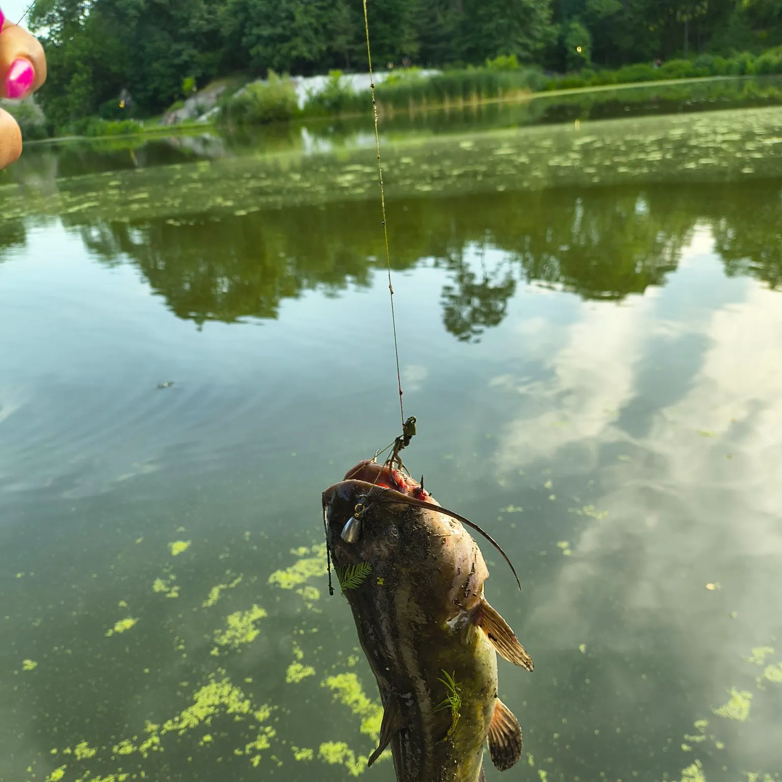 catch