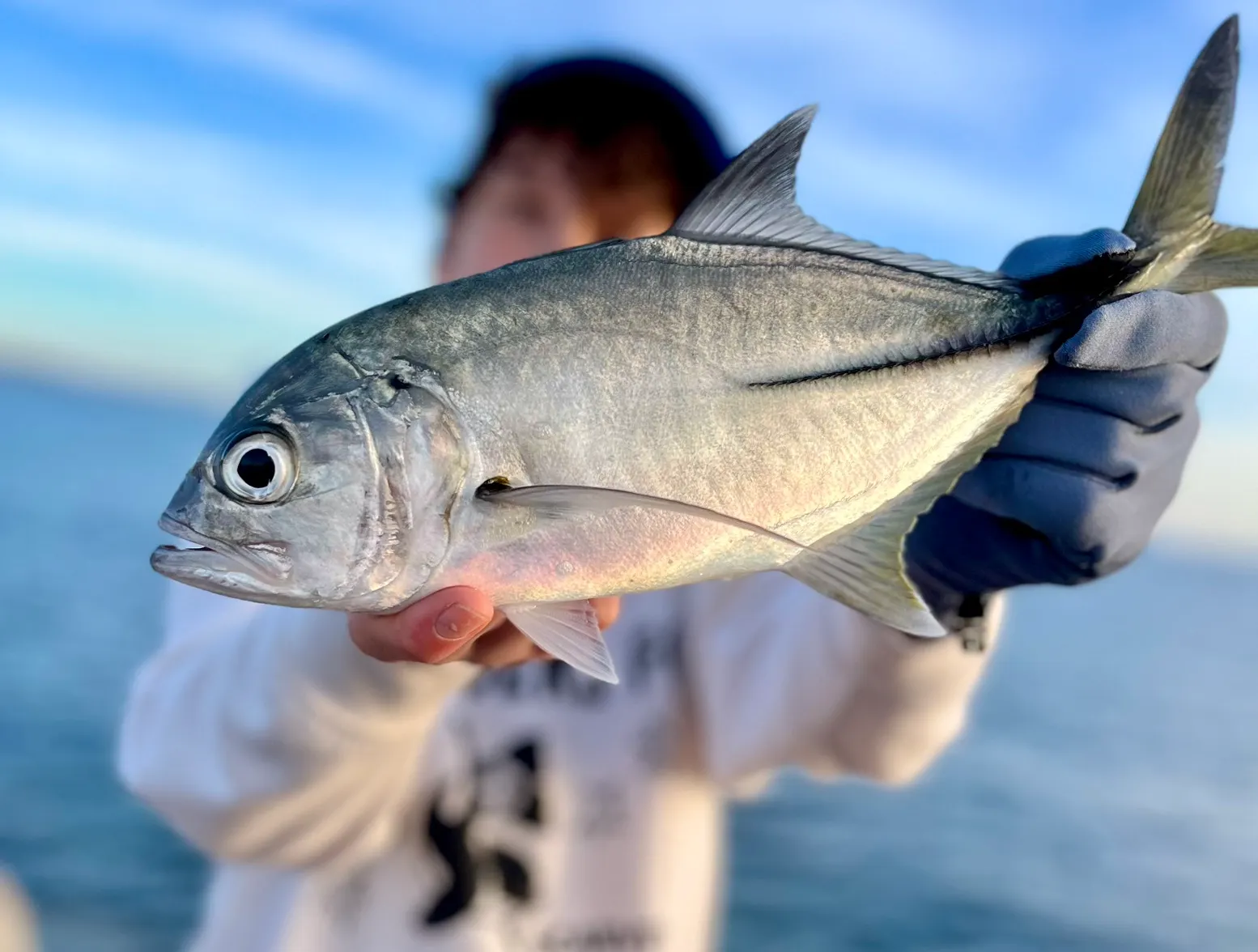 Pacific crevalle jack