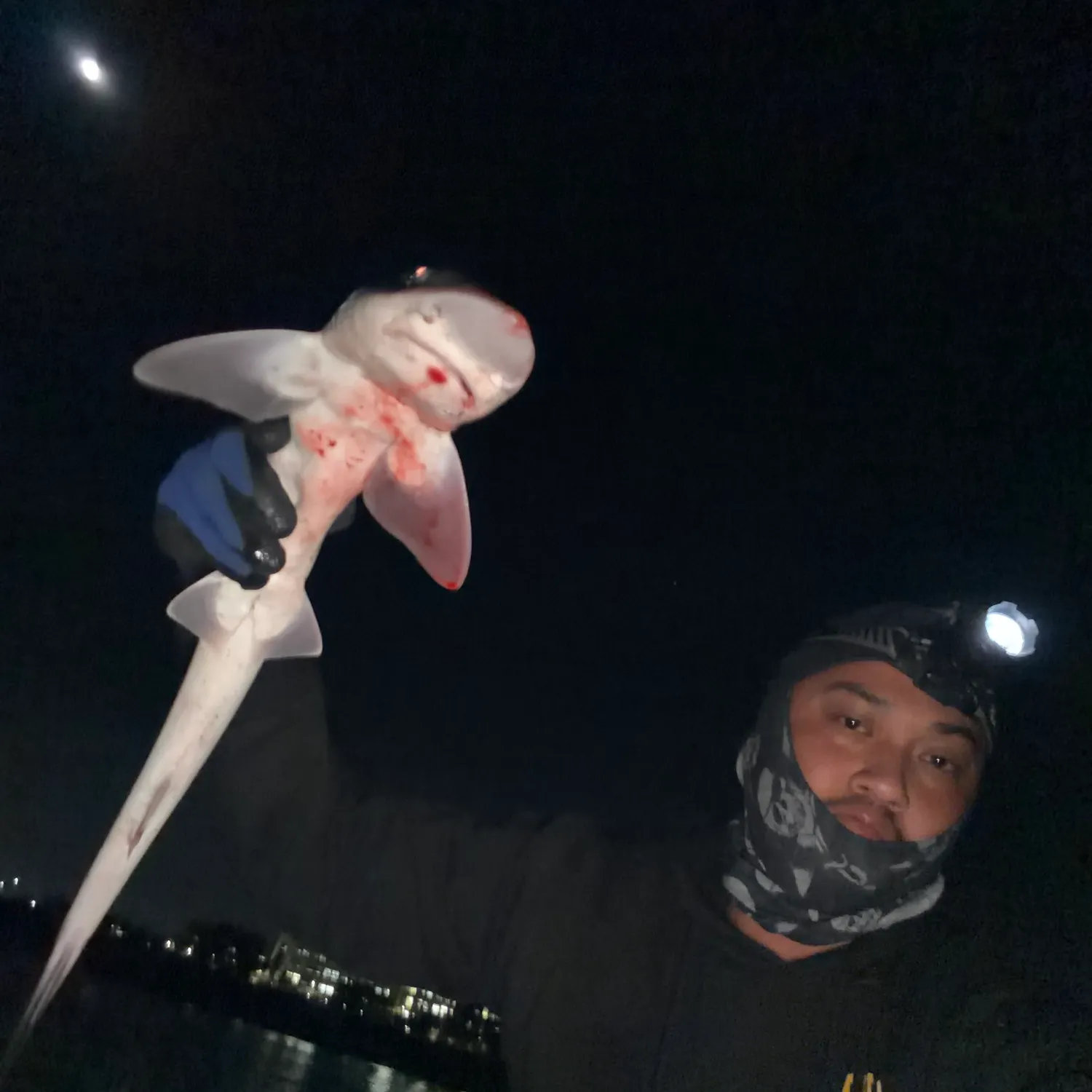 Brown smooth-hound caught on Fishbrain