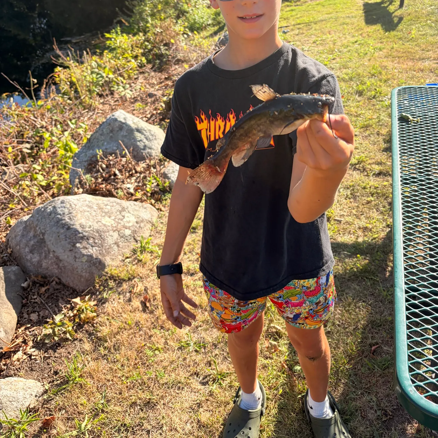 Black bullhead caught on Fishbrain