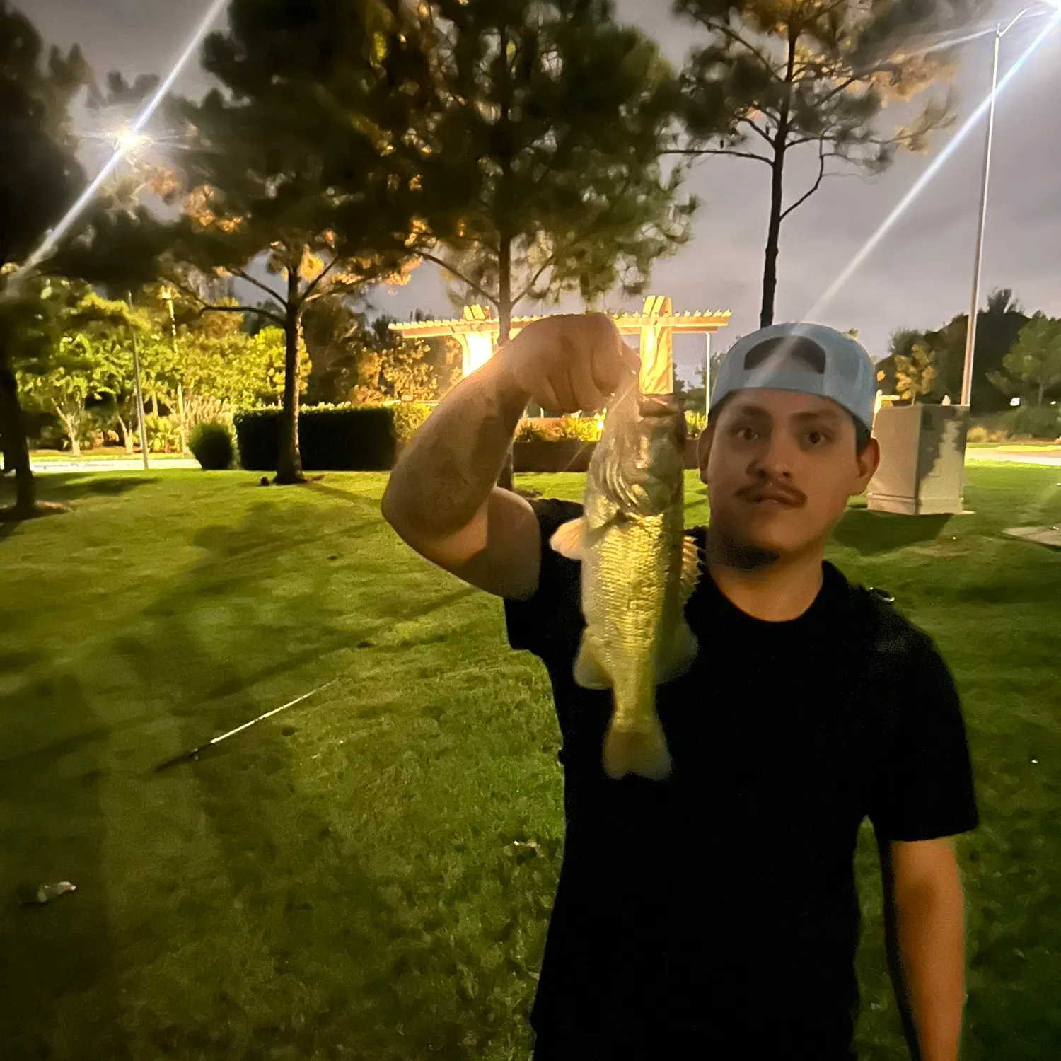 Fish caught on Fishbrain