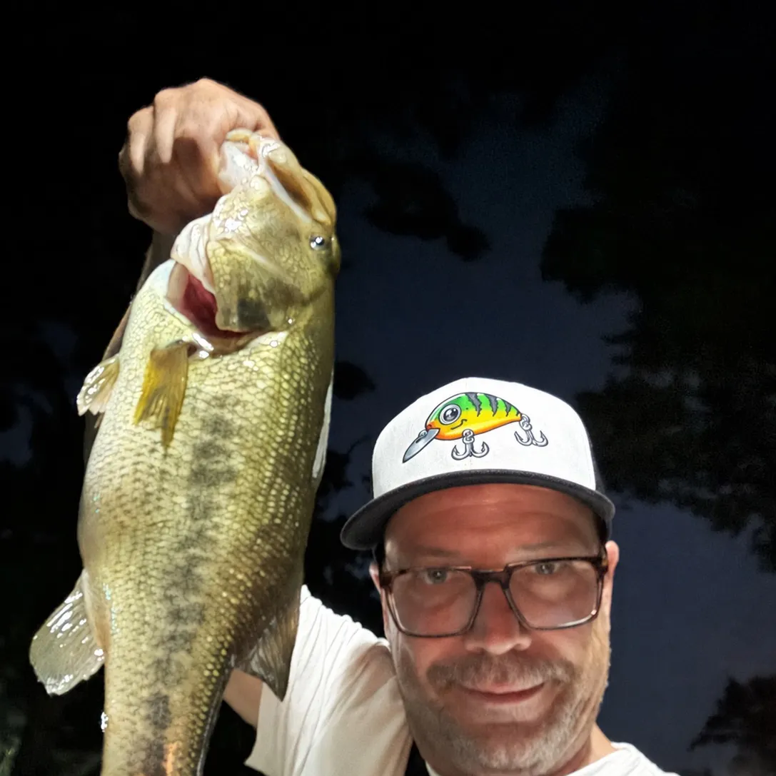 Largemouth bass caught on Fishbrain