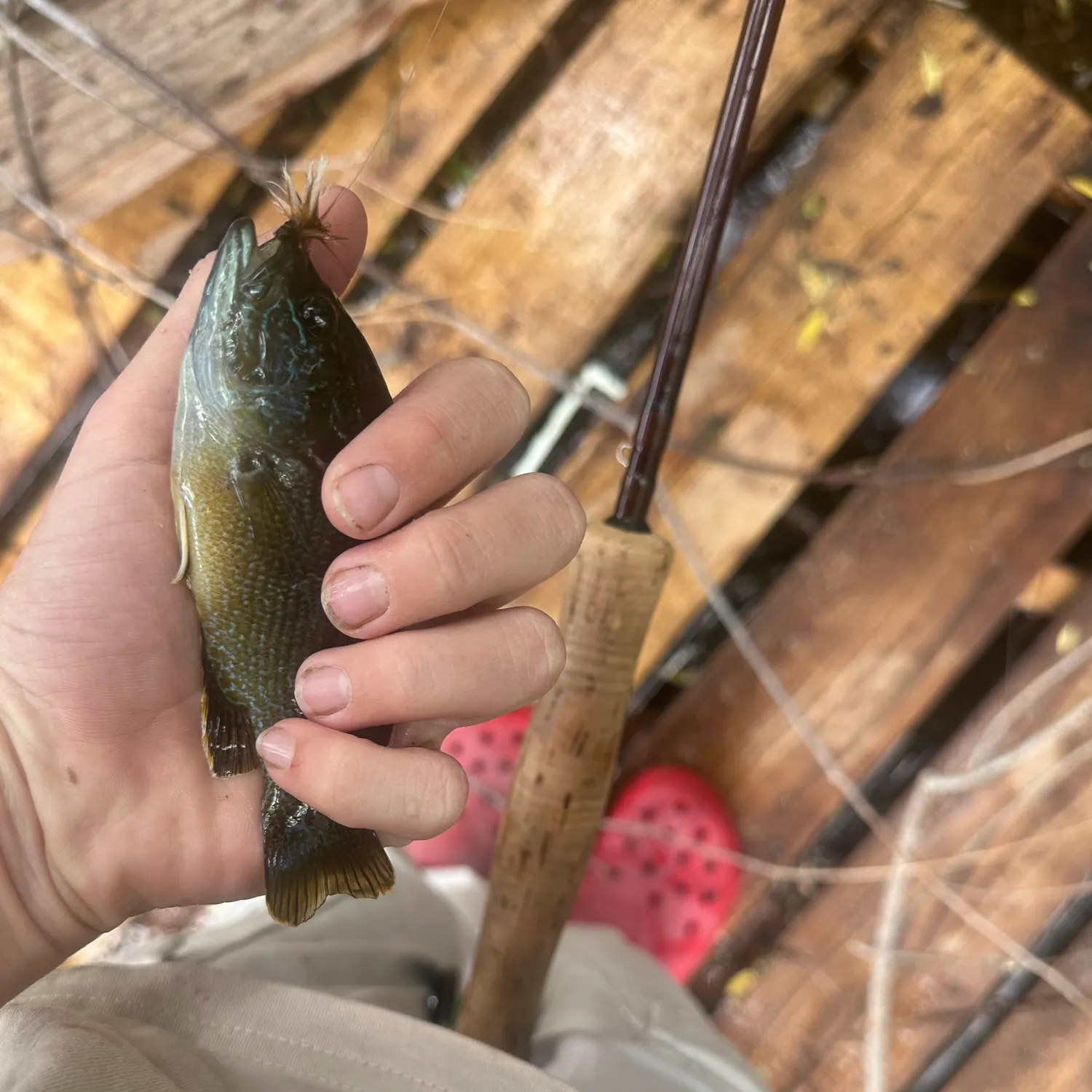 catch