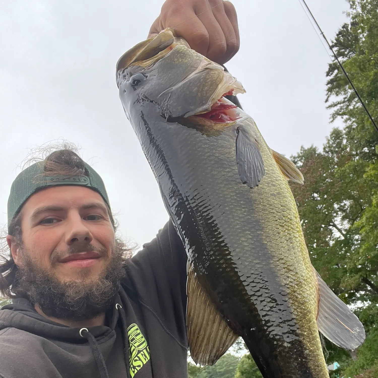 Largemouth bass caught on Fishbrain