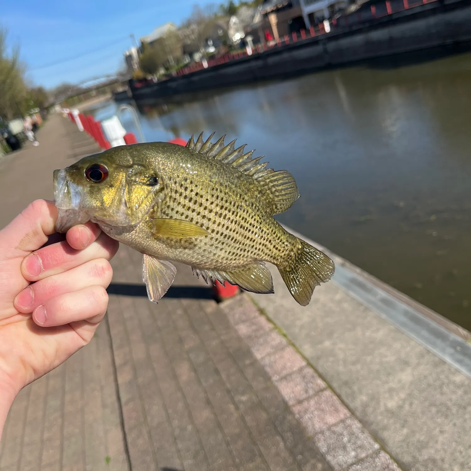 catch
