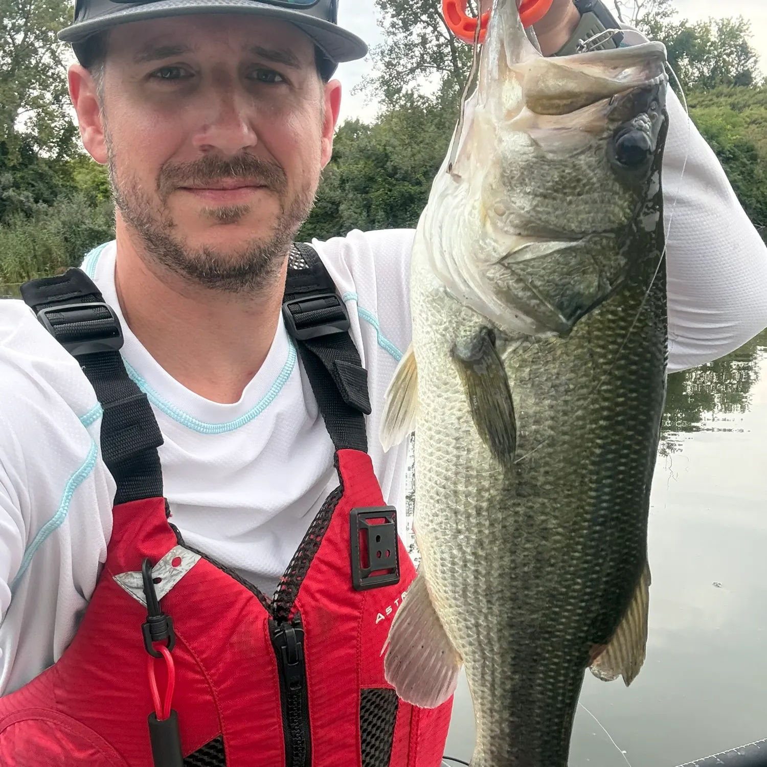 Largemouth bass caught on Fishbrain