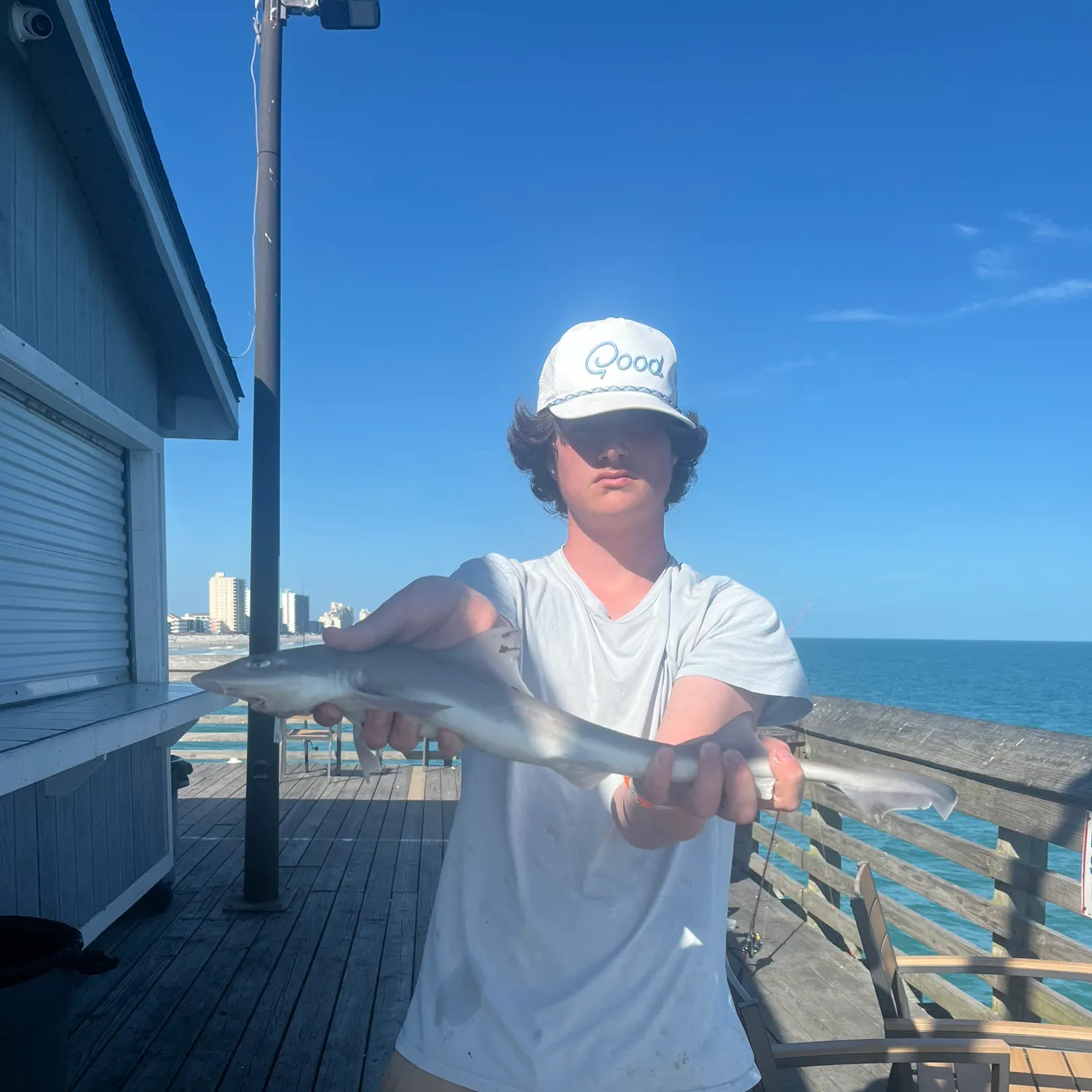 The most recent Starspotted smooth-hound catches on Fishbrain