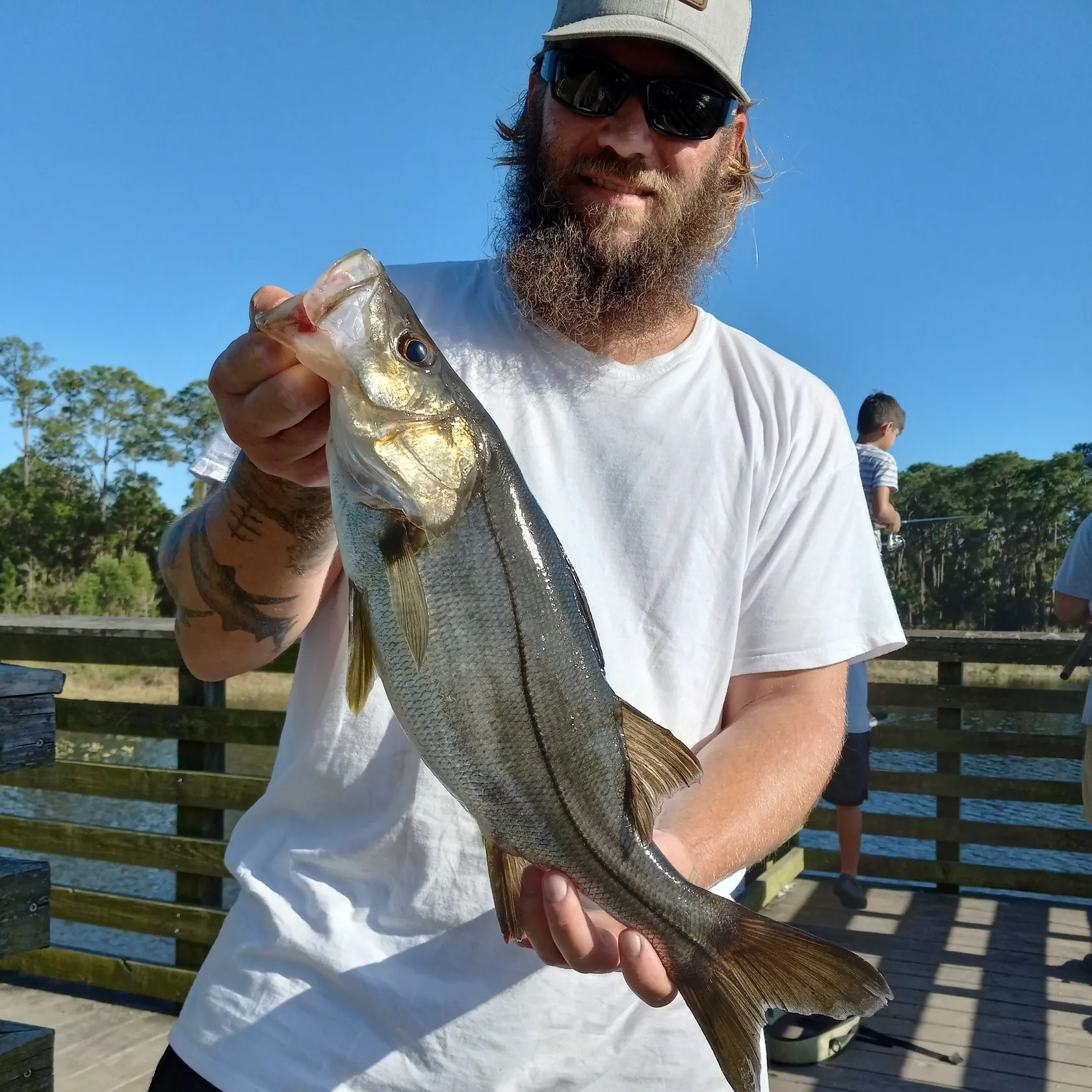 The most popular recent Fat snook catch on Fishbrain