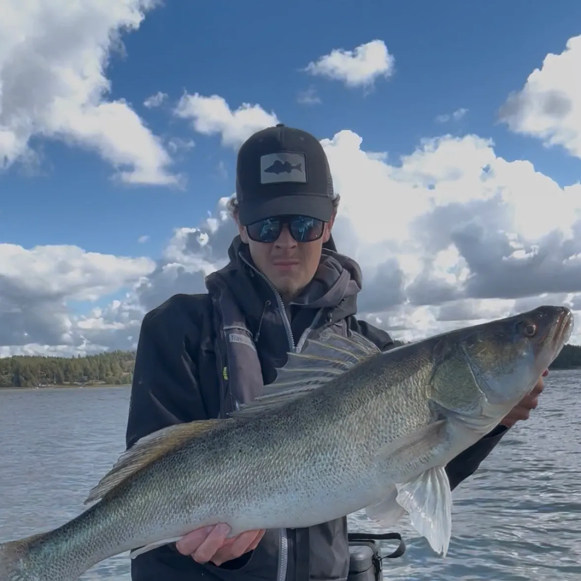 Zander caught on Fishbrain