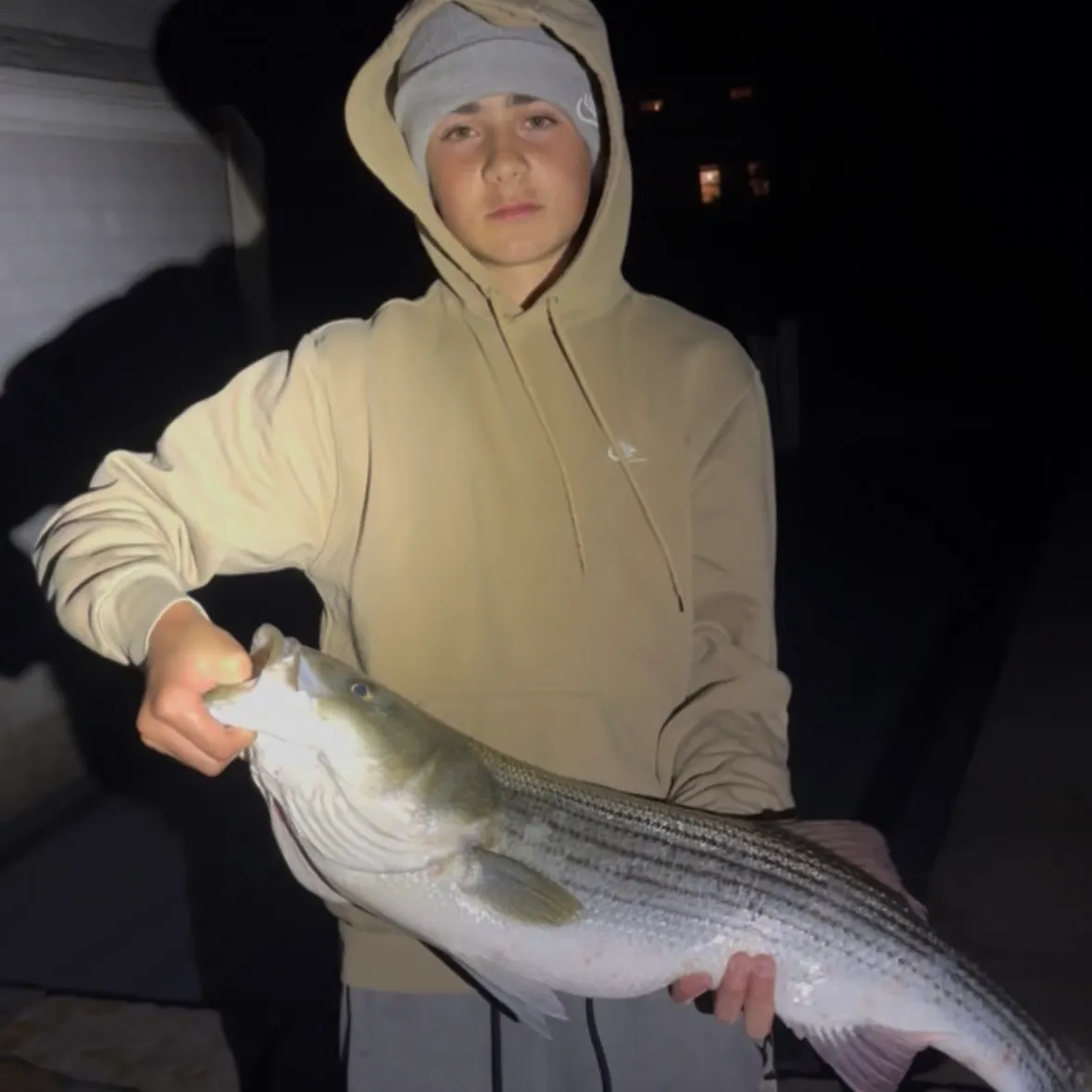 Striped bass caught on Fishbrain