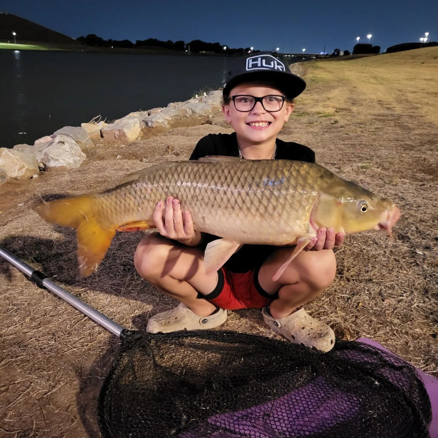 Common carp caught on Fishbrain