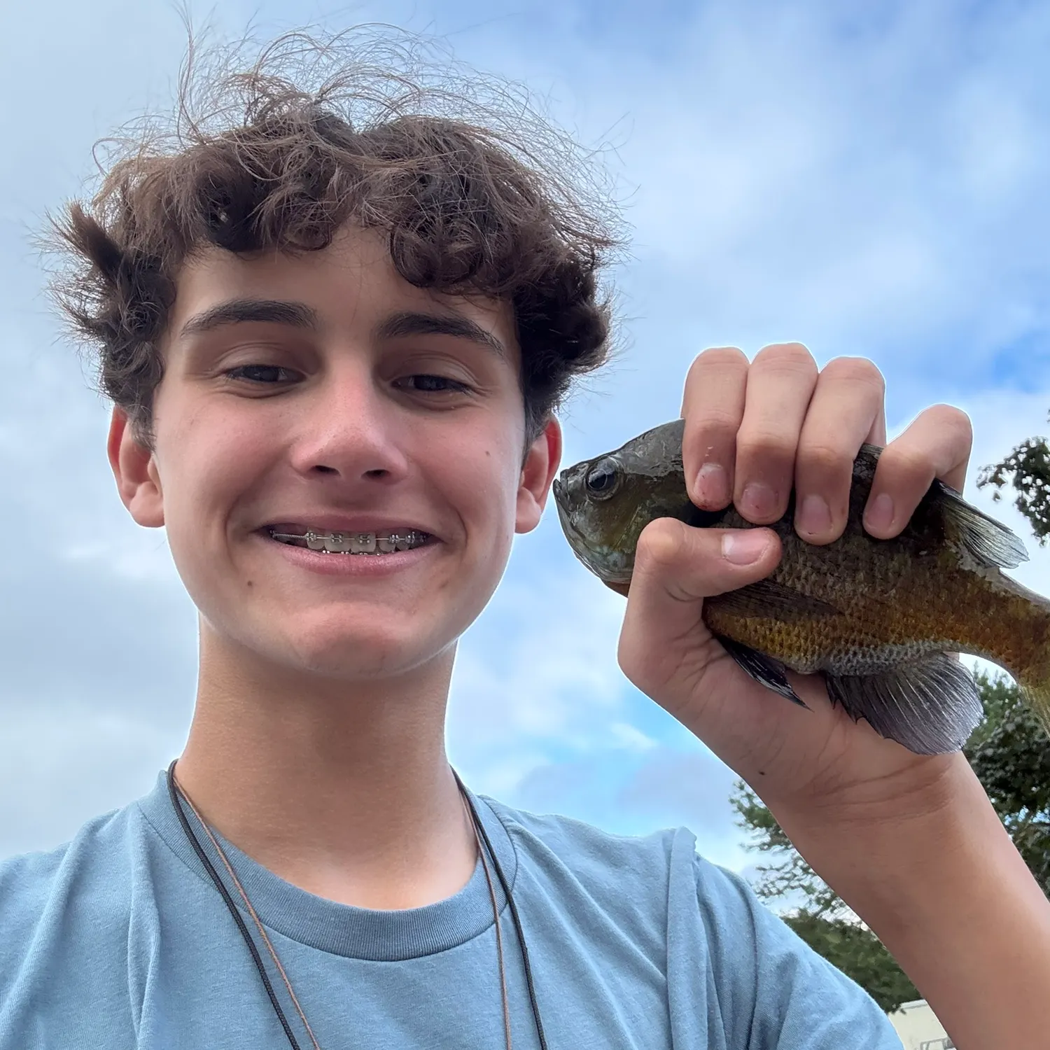 Bluegill caught on Fishbrain