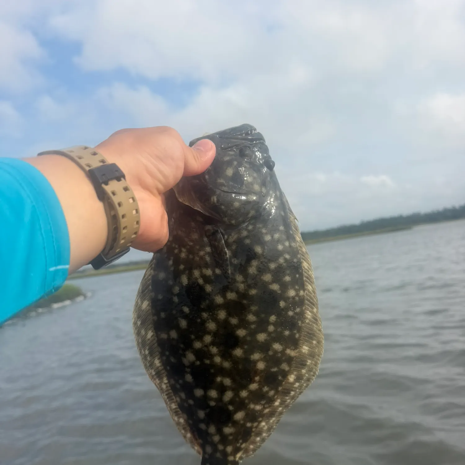 Southern flounder caught on Fishbrain