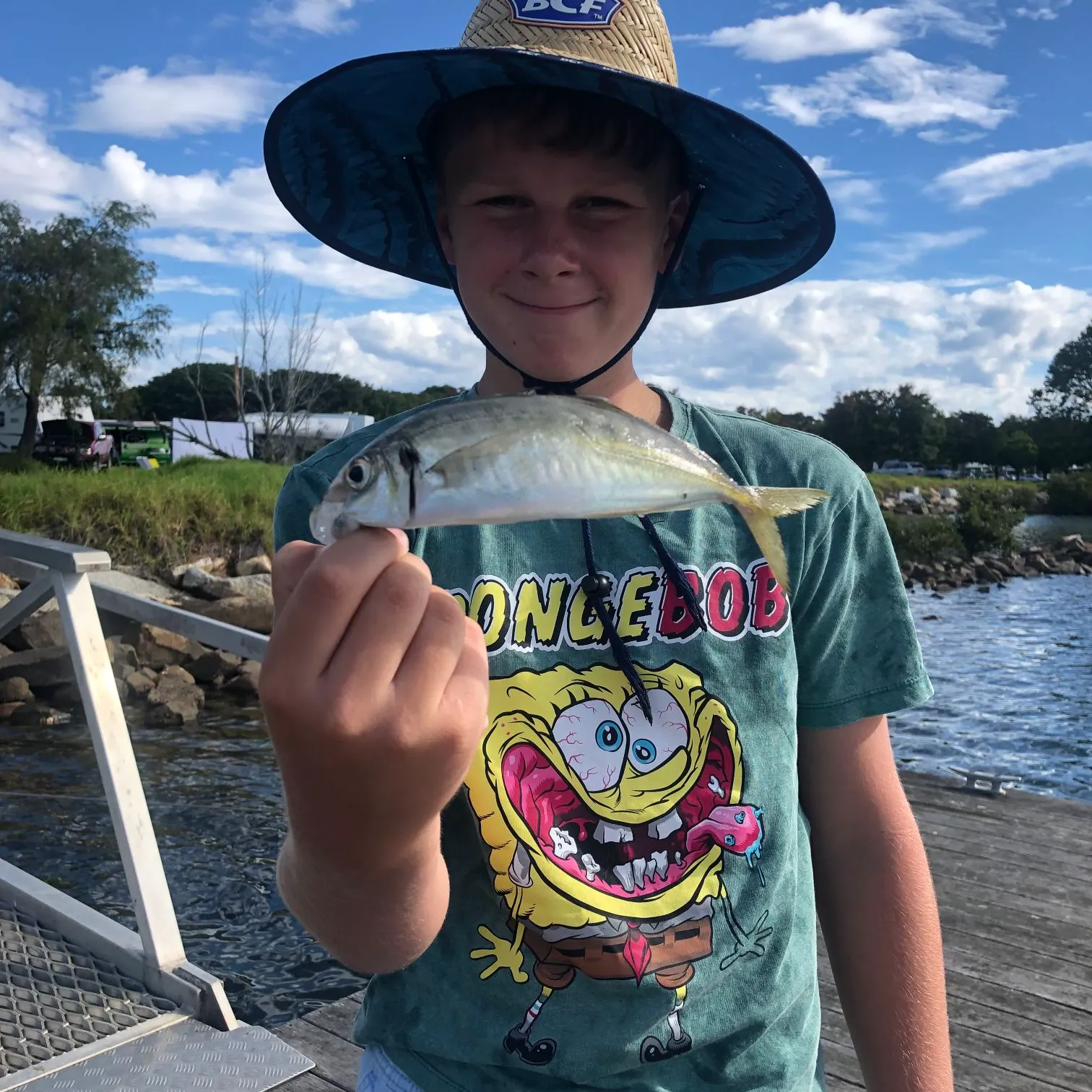 The most recent Yellowtail scad catches on Fishbrain