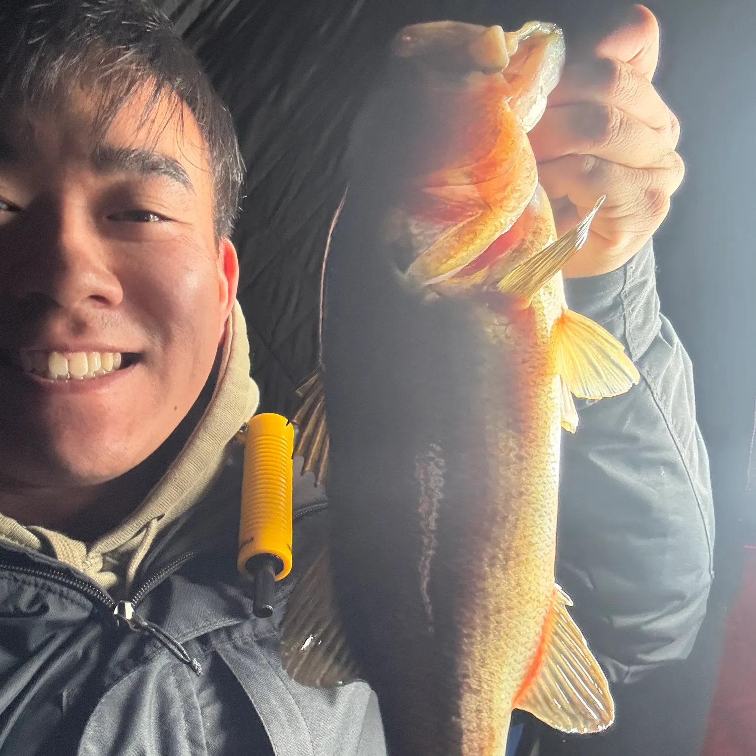 The most recent Black crappie catches on Fishbrain