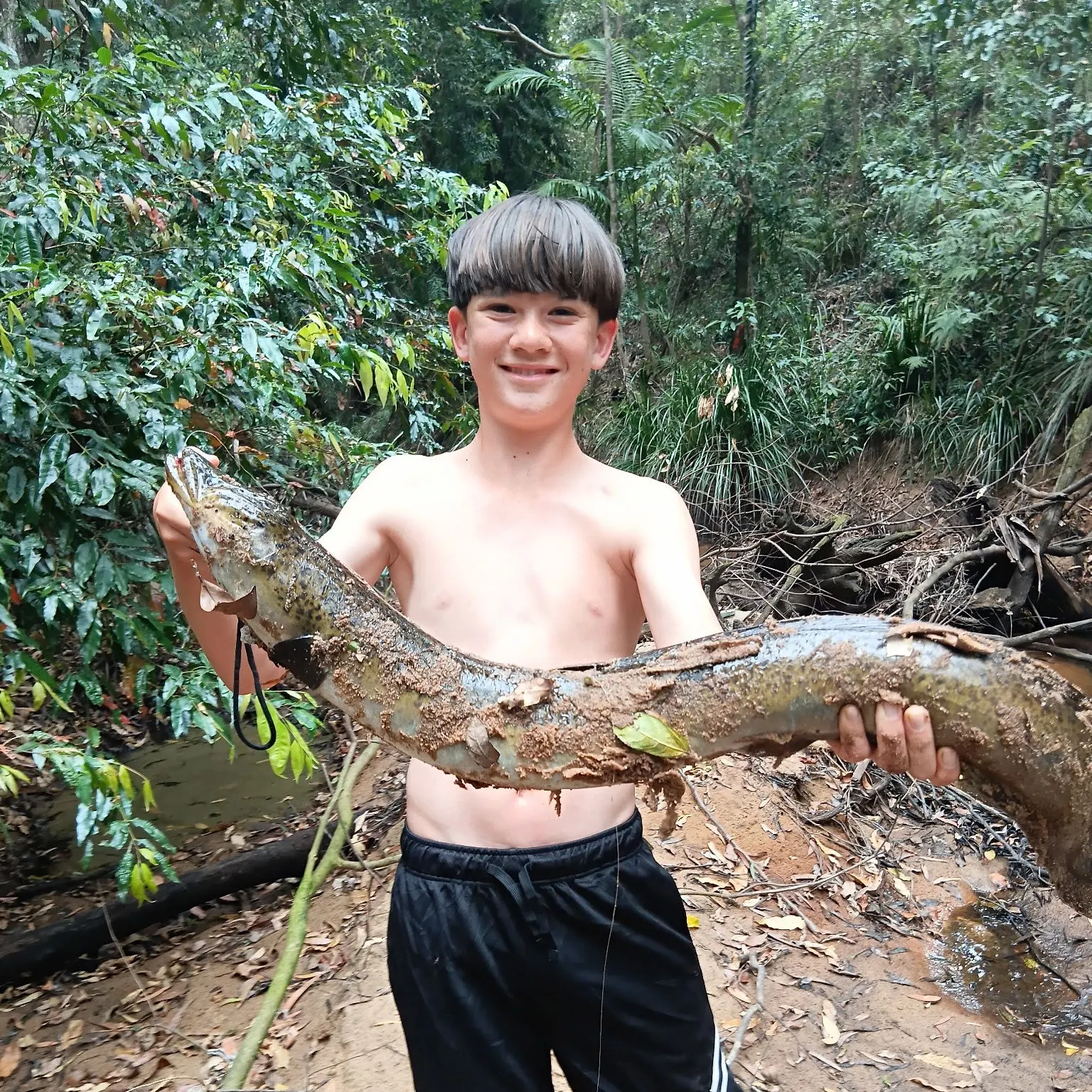 The most recent Speckled longfin eel catches on Fishbrain