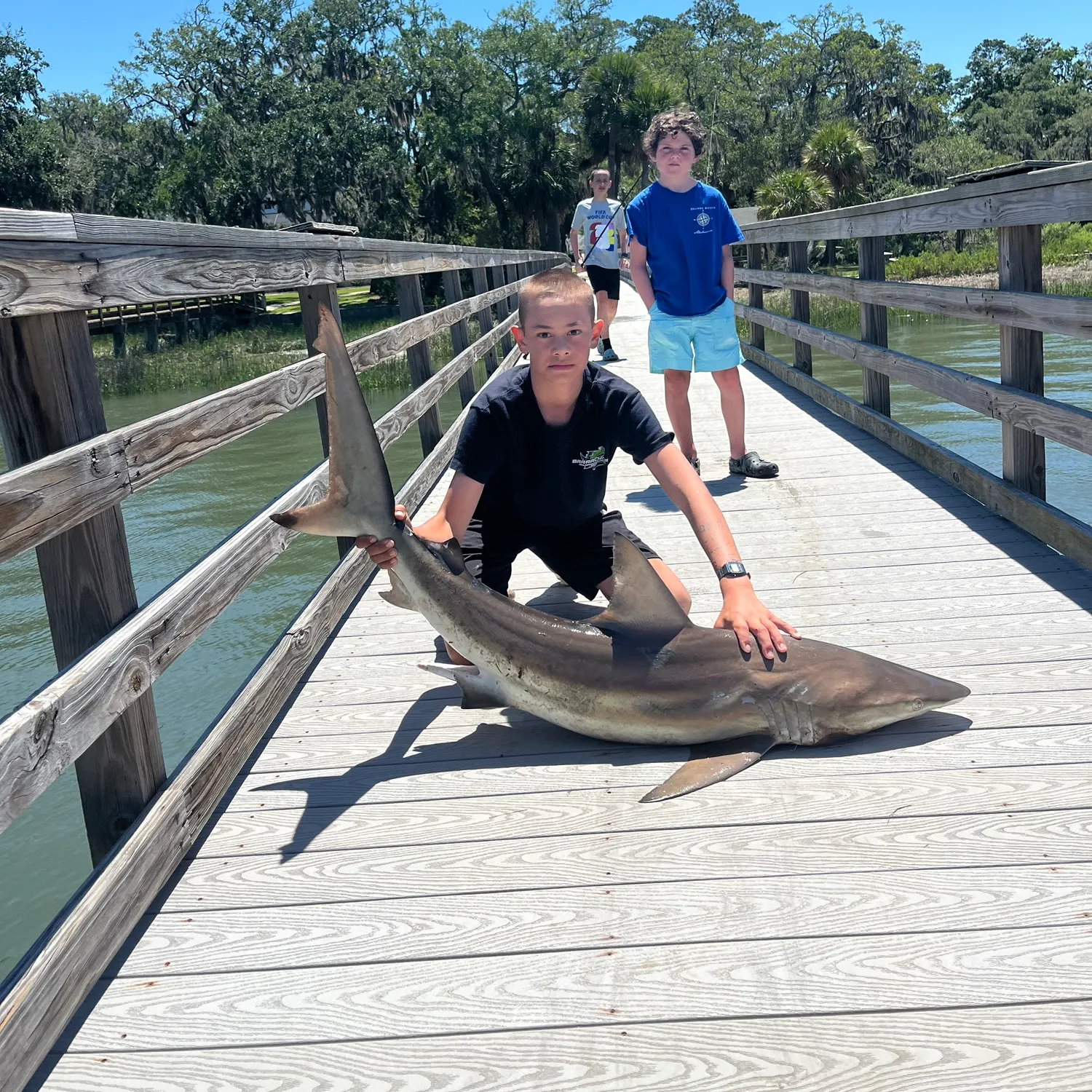 The most recent Spinner shark catches on Fishbrain