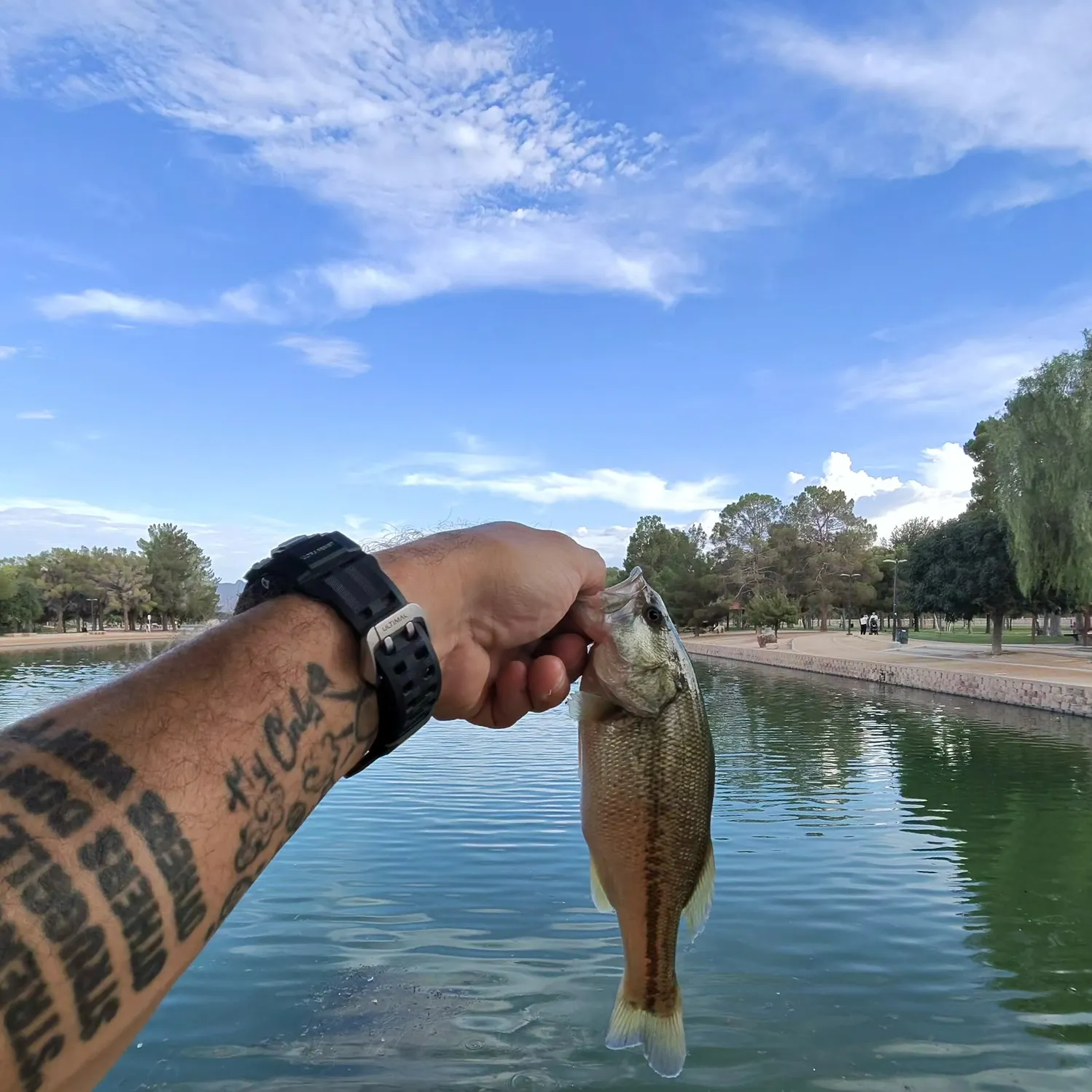 catch