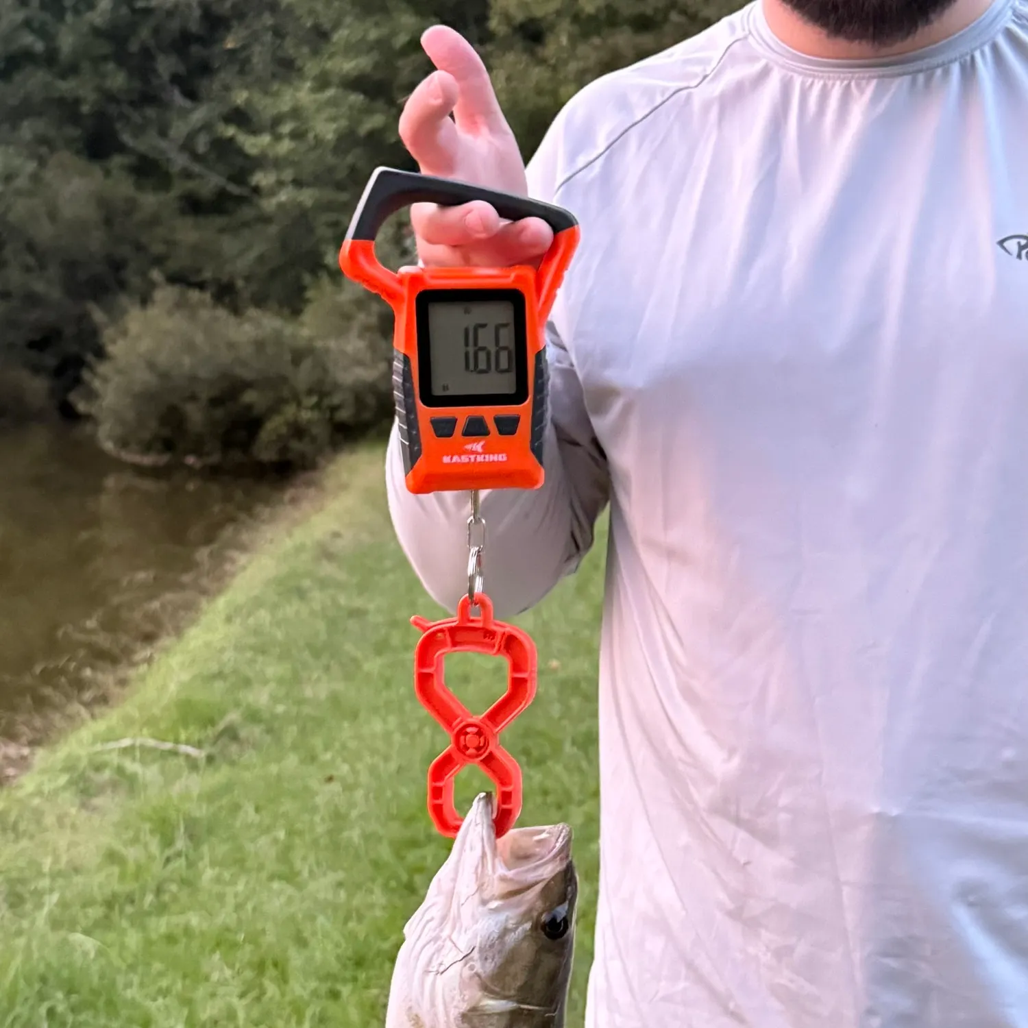 Spotted bass caught on Fishbrain