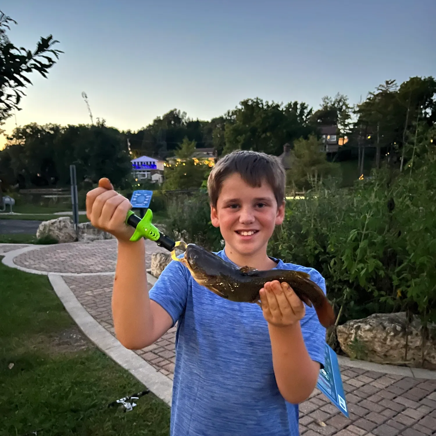 Yellow bullhead caught on Fishbrain