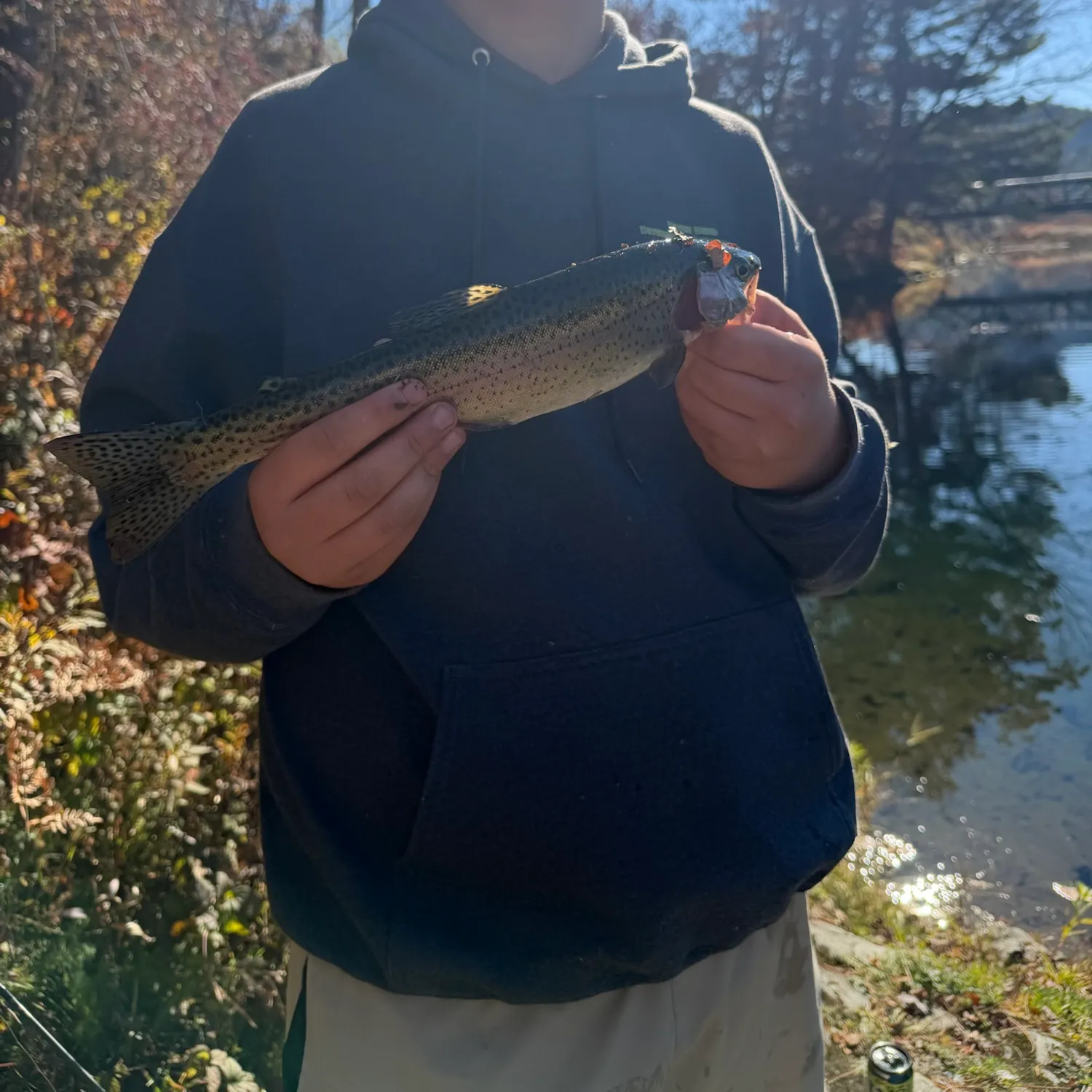 Rainbow trout caught on Fishbrain