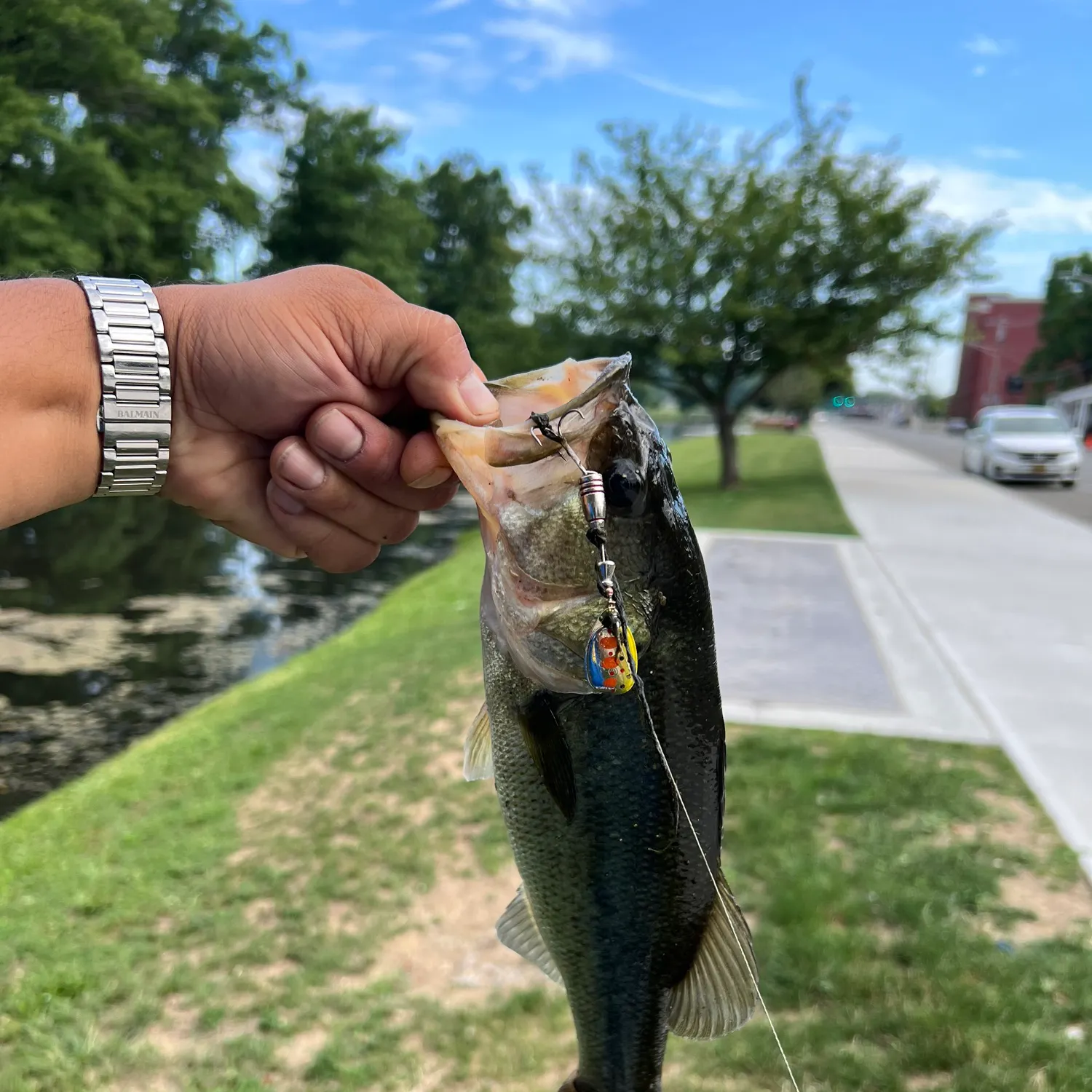 catch