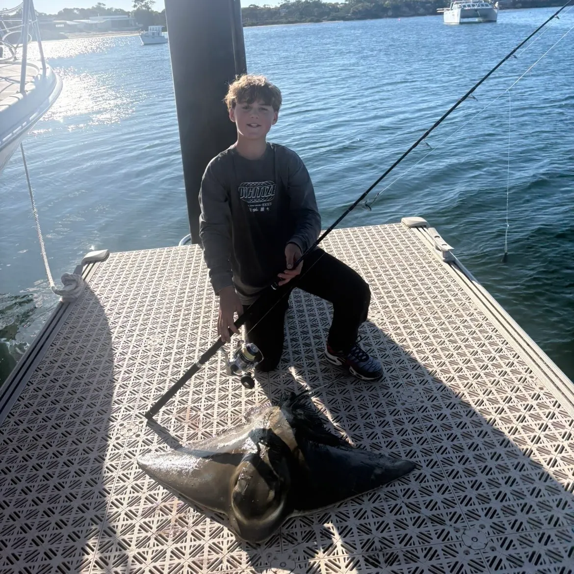 The most recent Pelagic stingray catches on Fishbrain