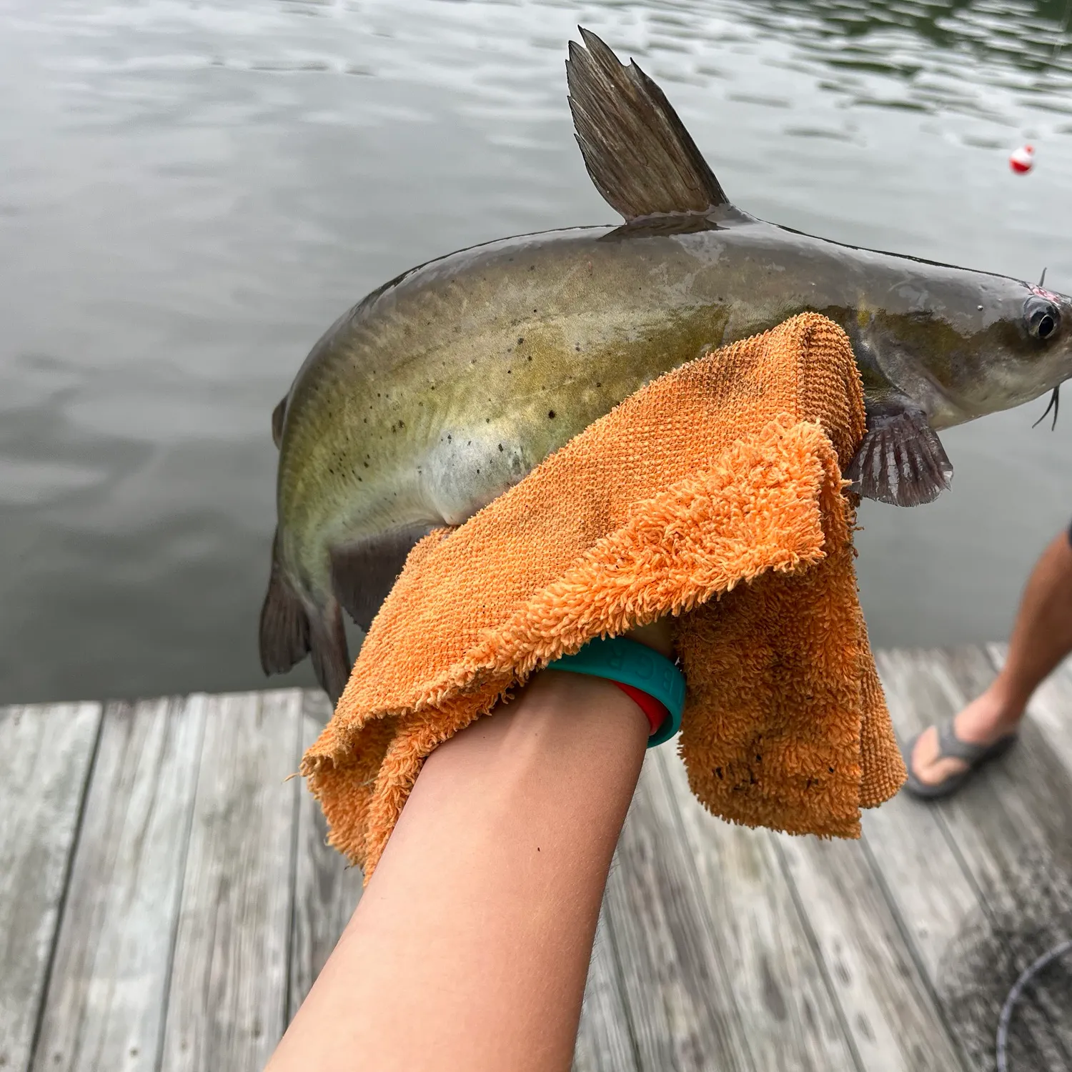 catch