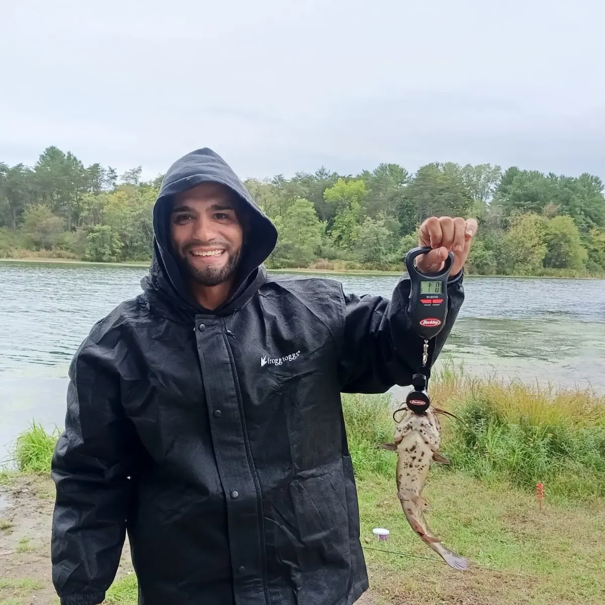 Black bullhead caught on Fishbrain