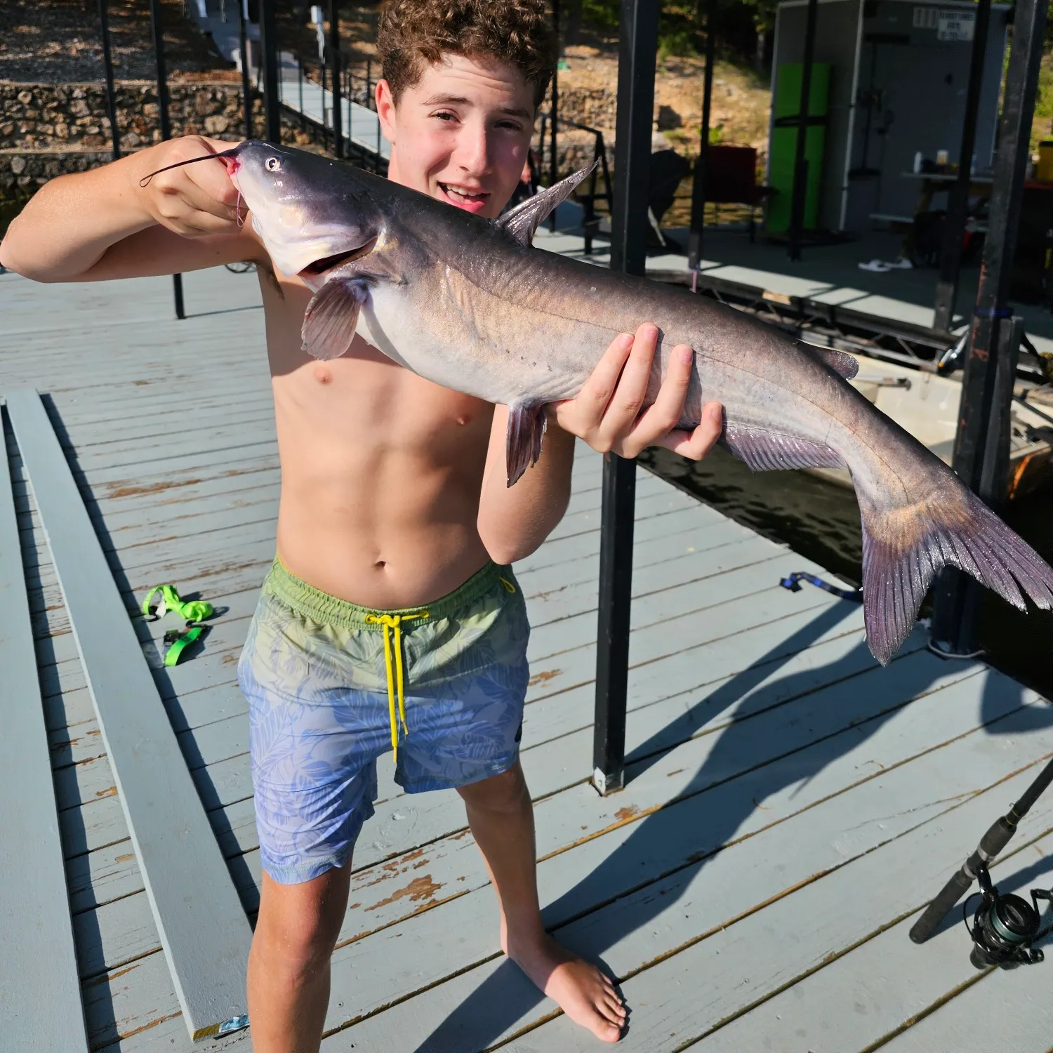 Blue catfish caught on Fishbrain