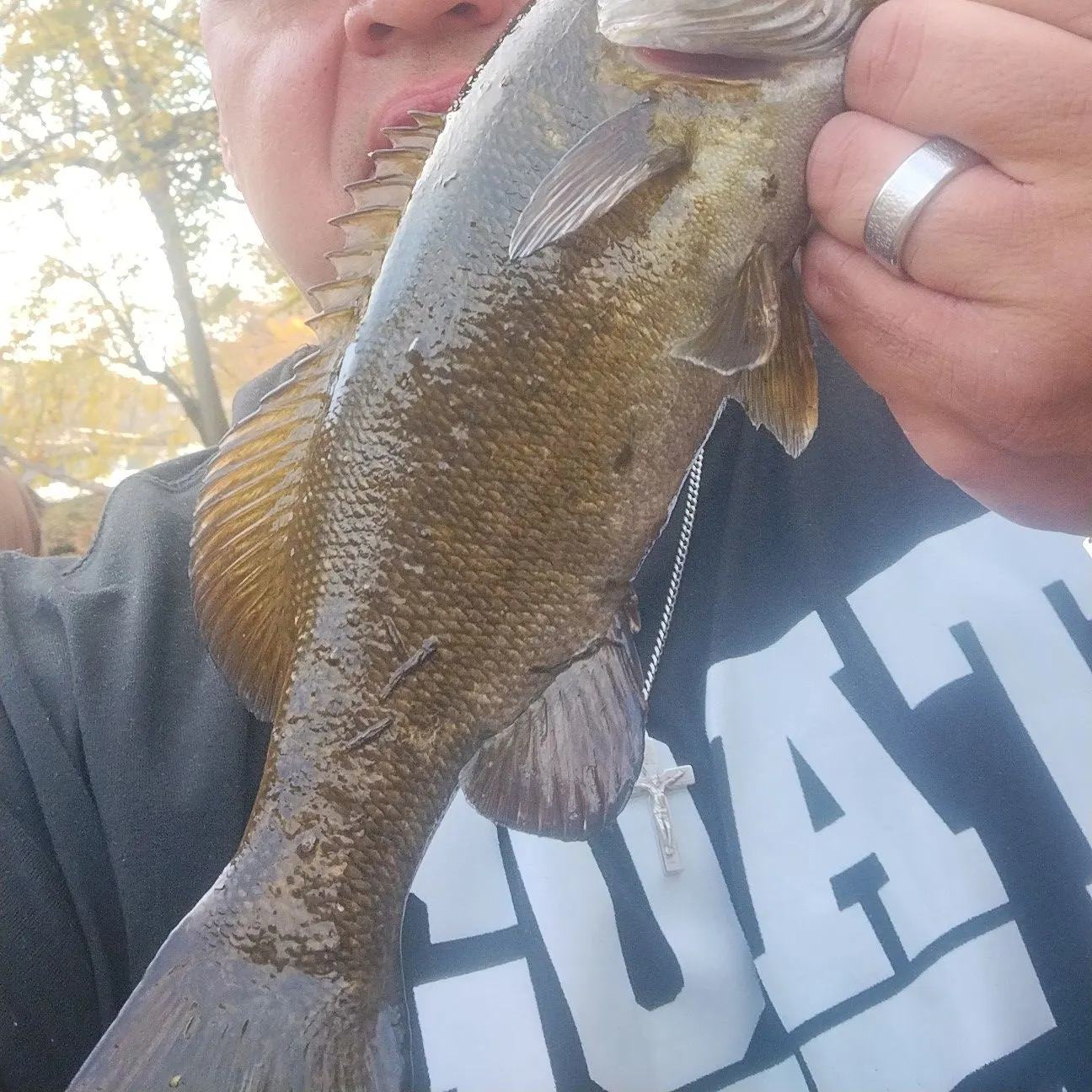 The most recent Smallmouth bass catches on Fishbrain