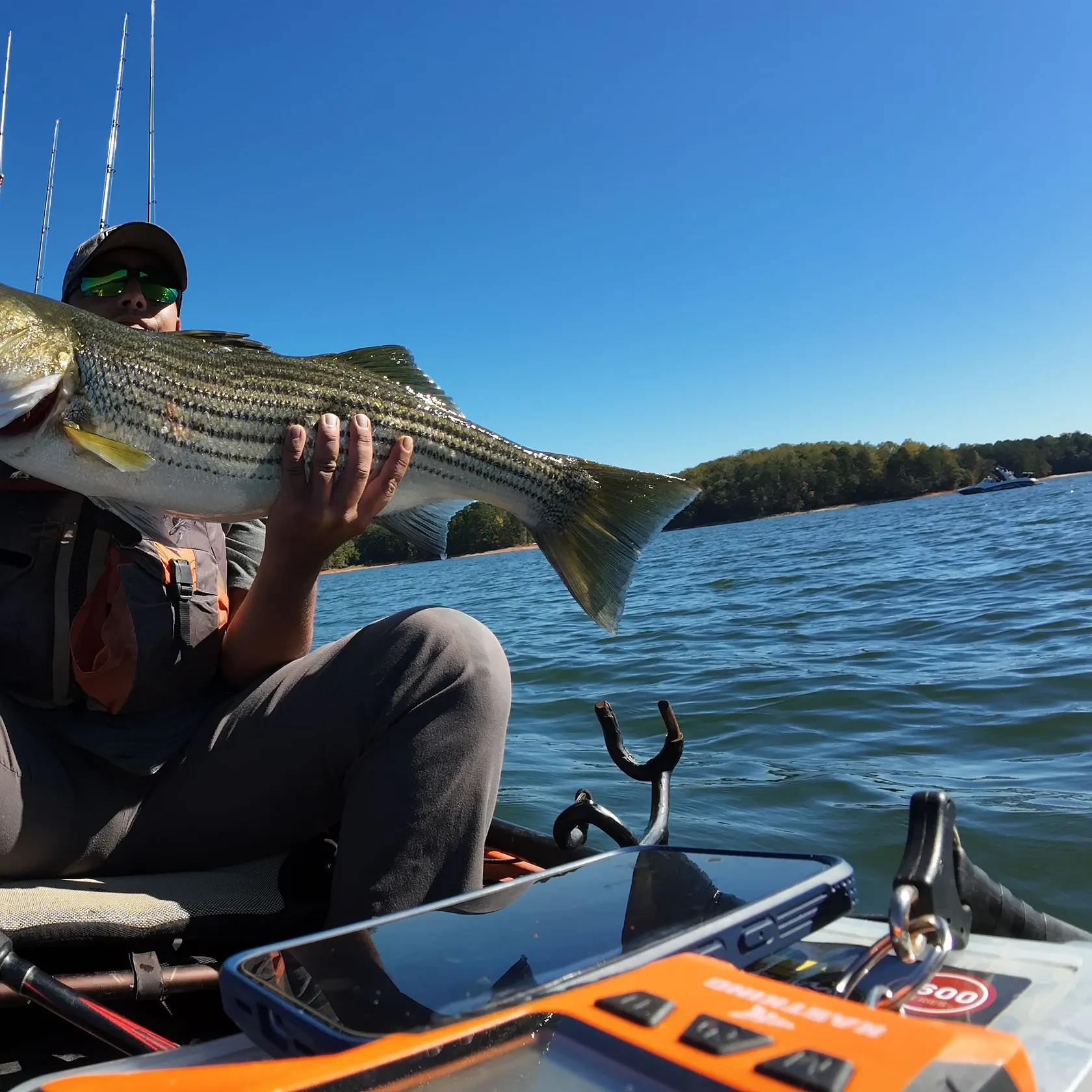 Striped bass caught on Fishbrain