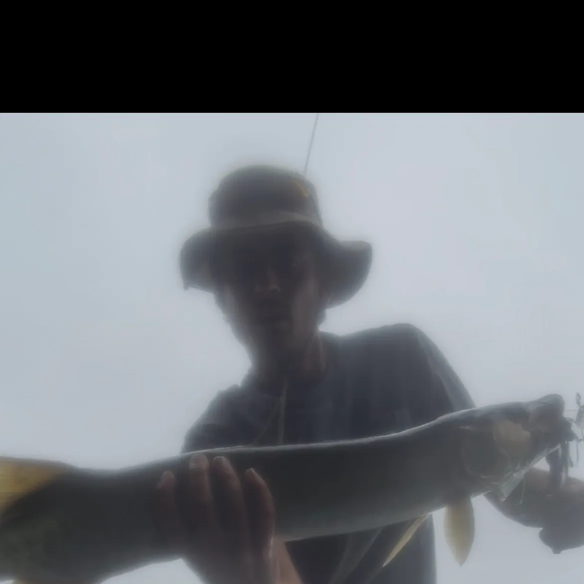 Muskie caught on Fishbrain