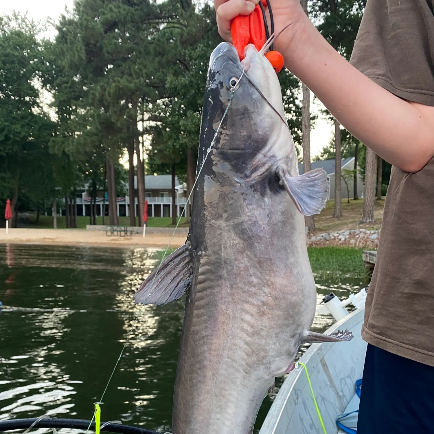 catch