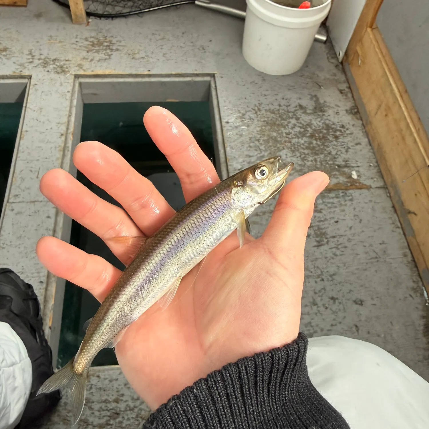 catch