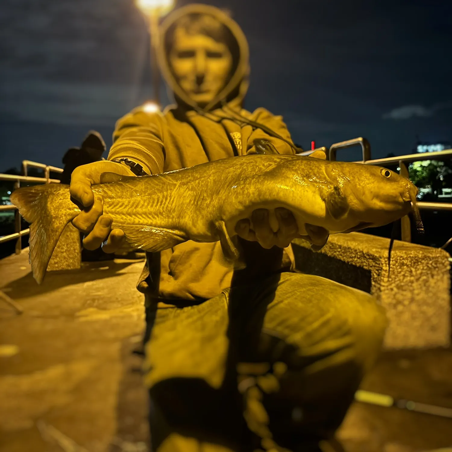 Channel catfish caught on Fishbrain