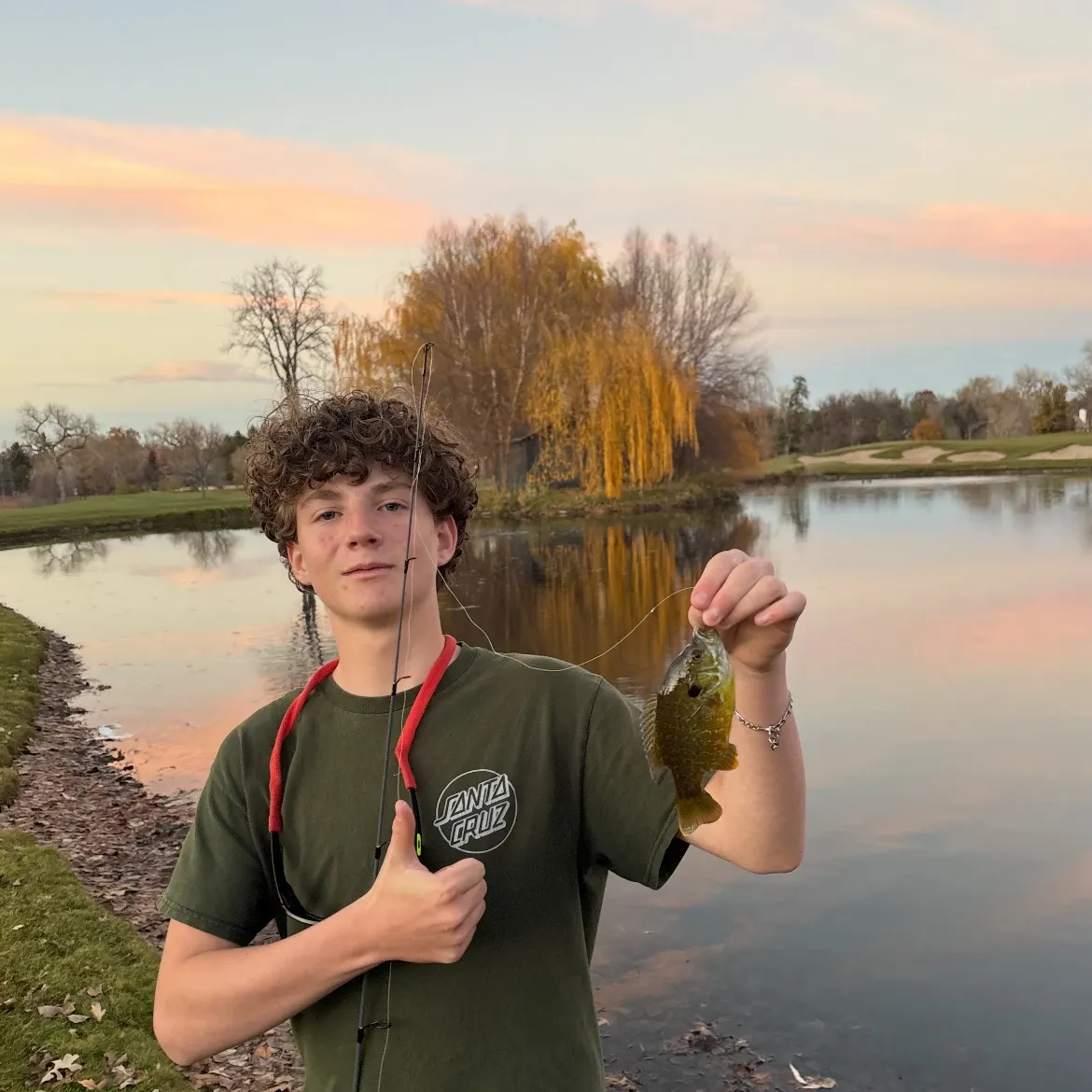 The most recent Green sunfish catches on Fishbrain
