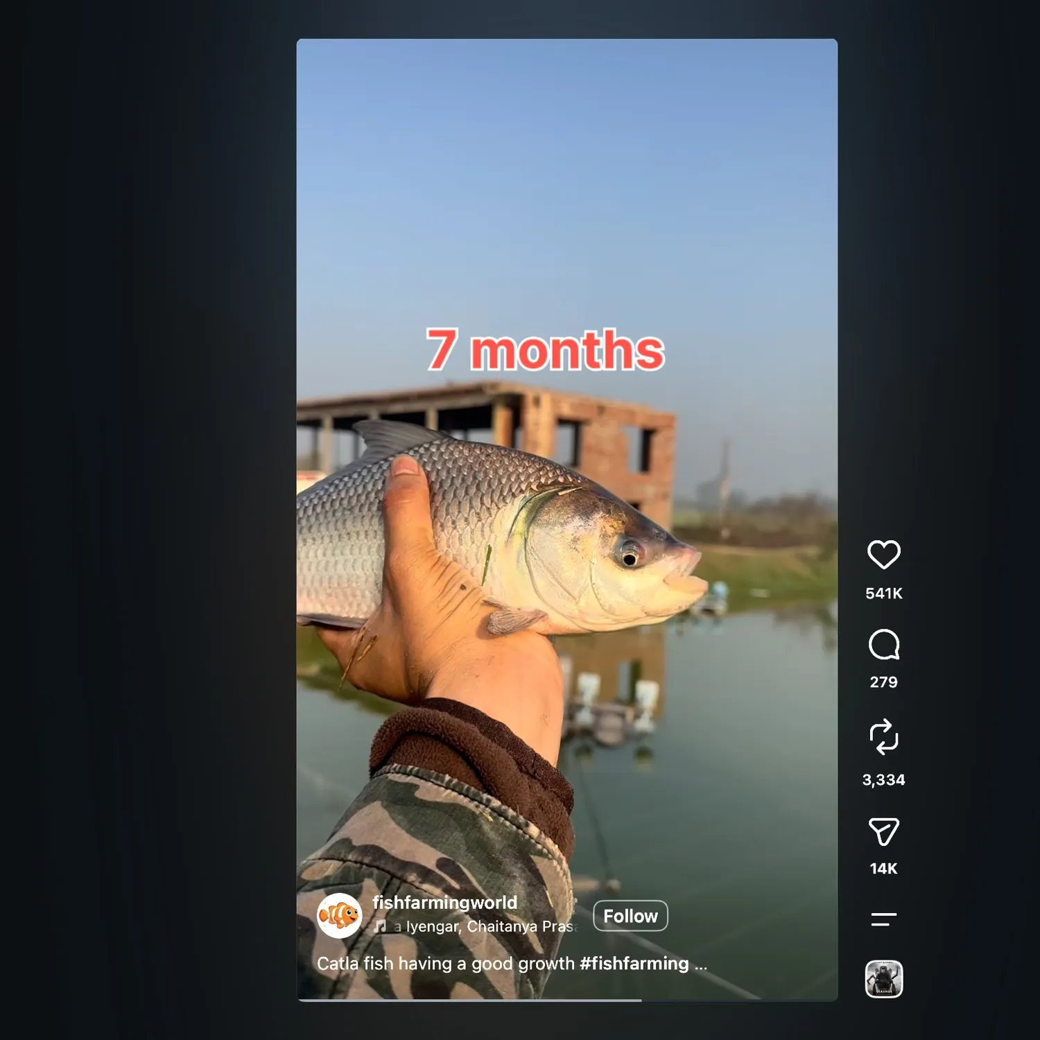 recently logged catches