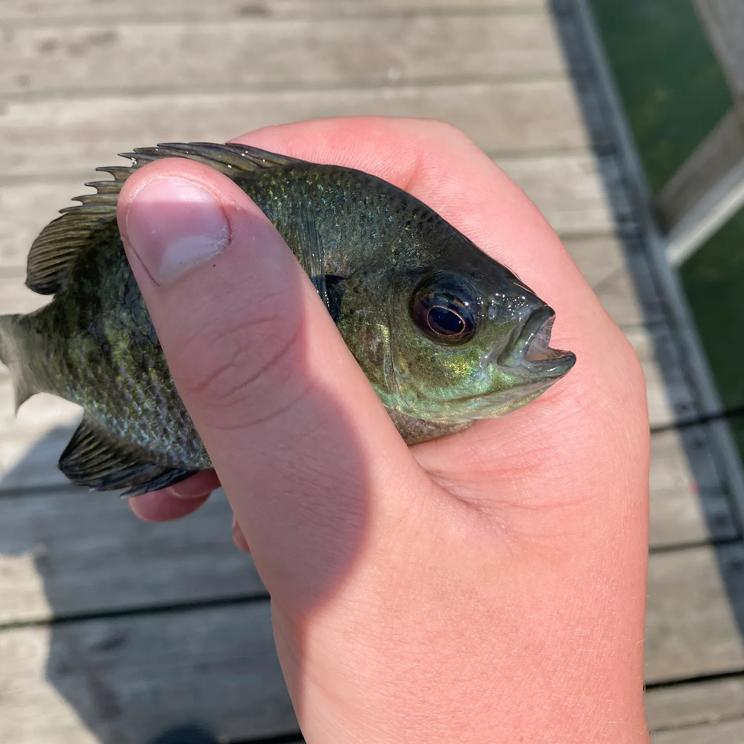 catch