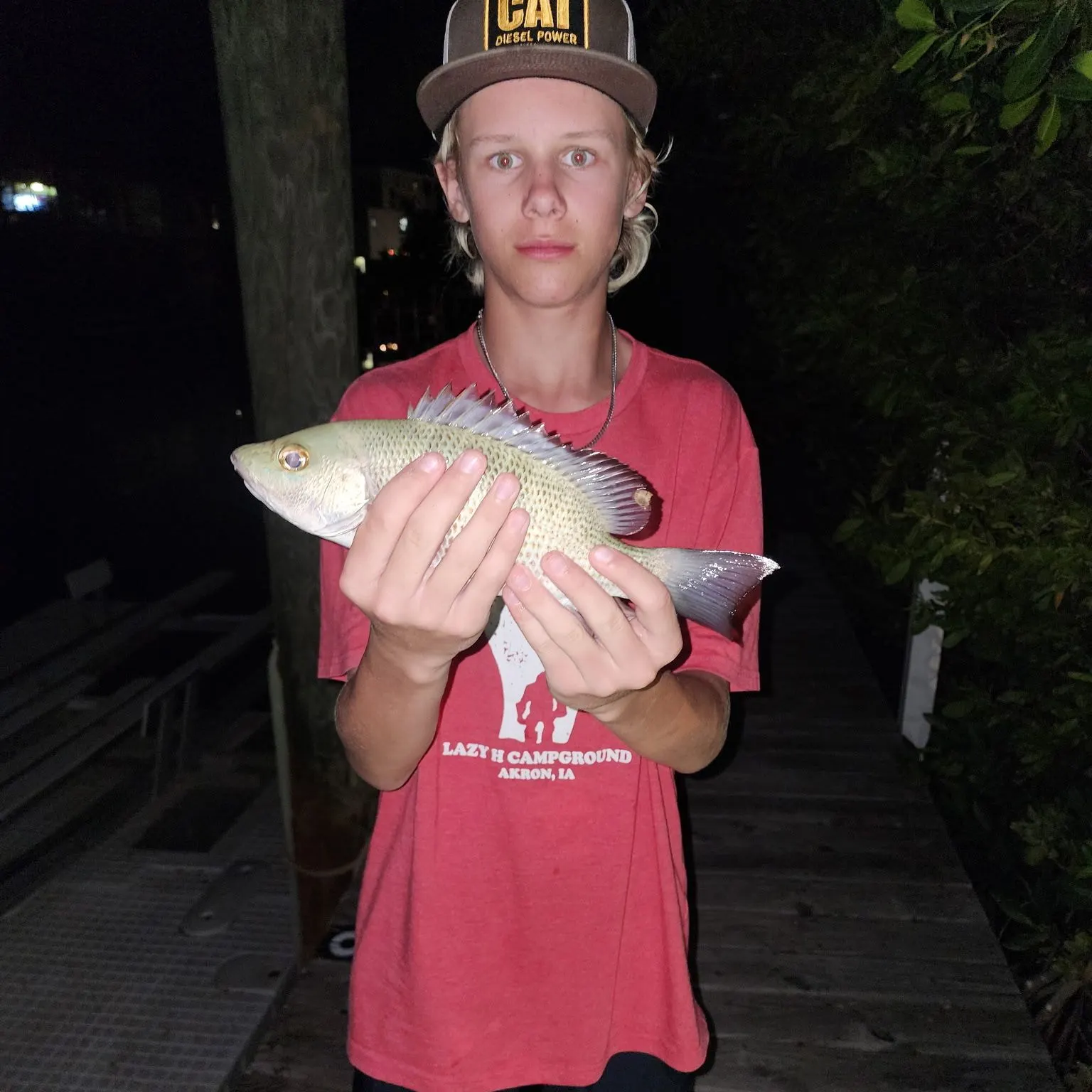 recently logged catches