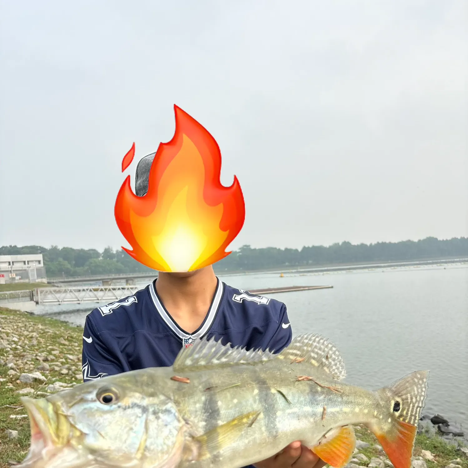 Speckled peacock bass caught on Fishbrain