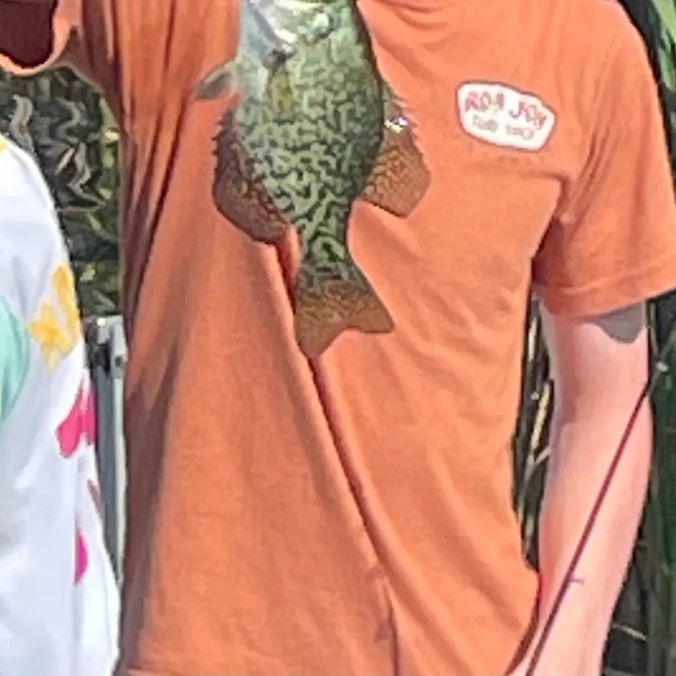 The most recent Black crappie catches on Fishbrain