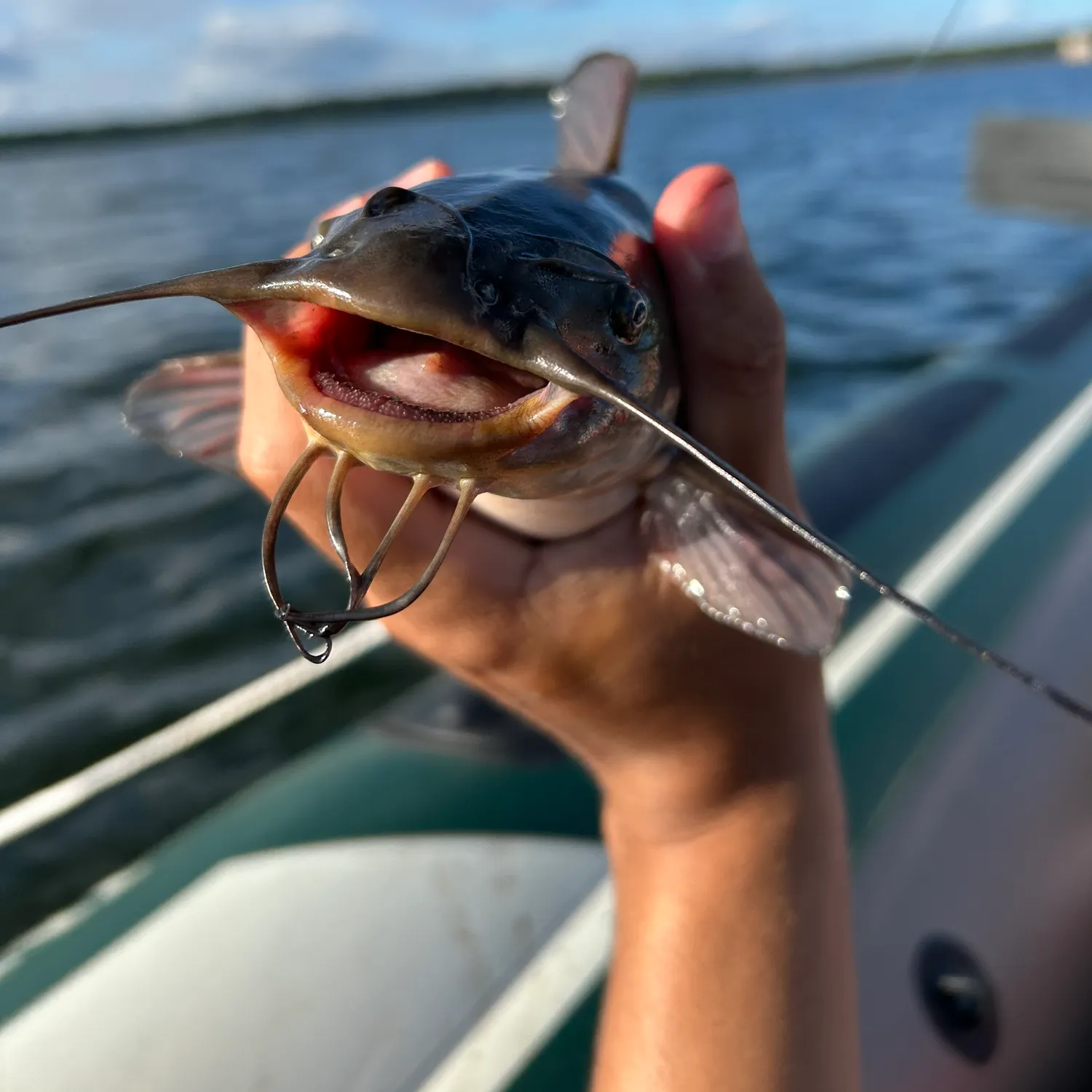 catch
