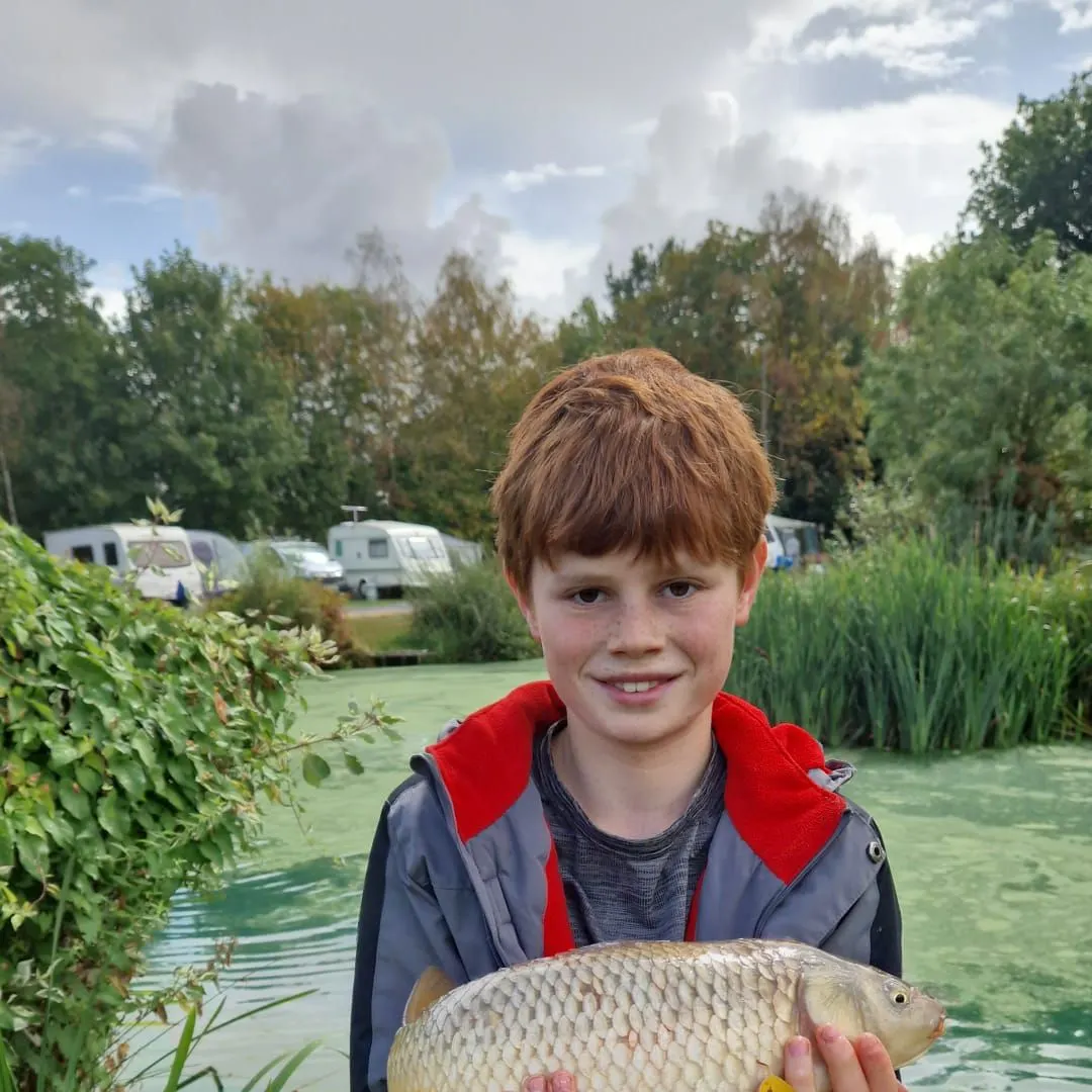 Common carp caught on Fishbrain