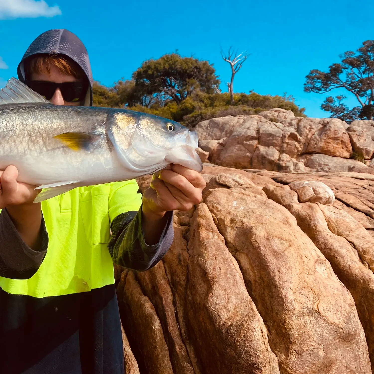 The most recent Western Australian salmon catches on Fishbrain